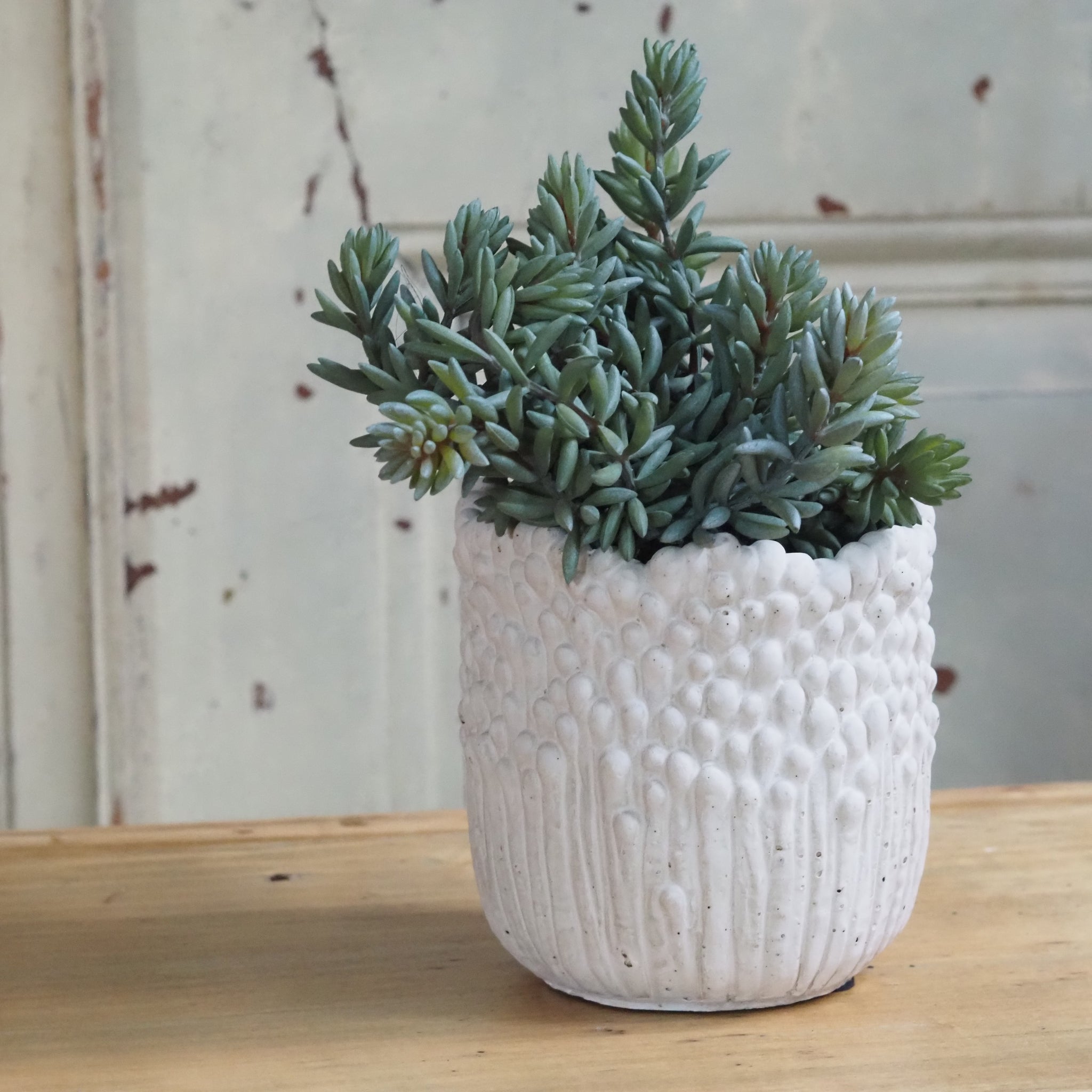 DECOR - NEW - künstlerischer Blumentopf