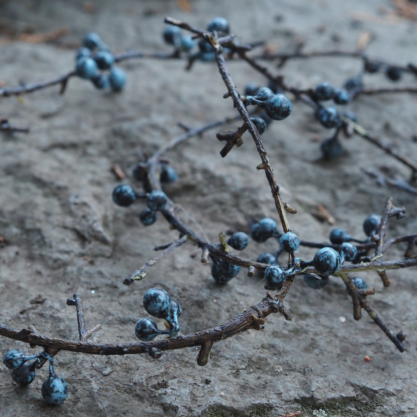 SAISON-DECOR- Beerengirlande