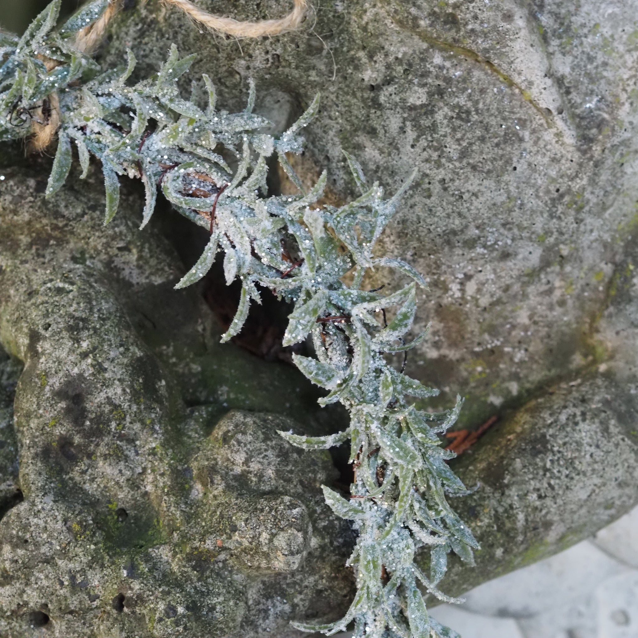 SAISON-DECOR-Frostkranz