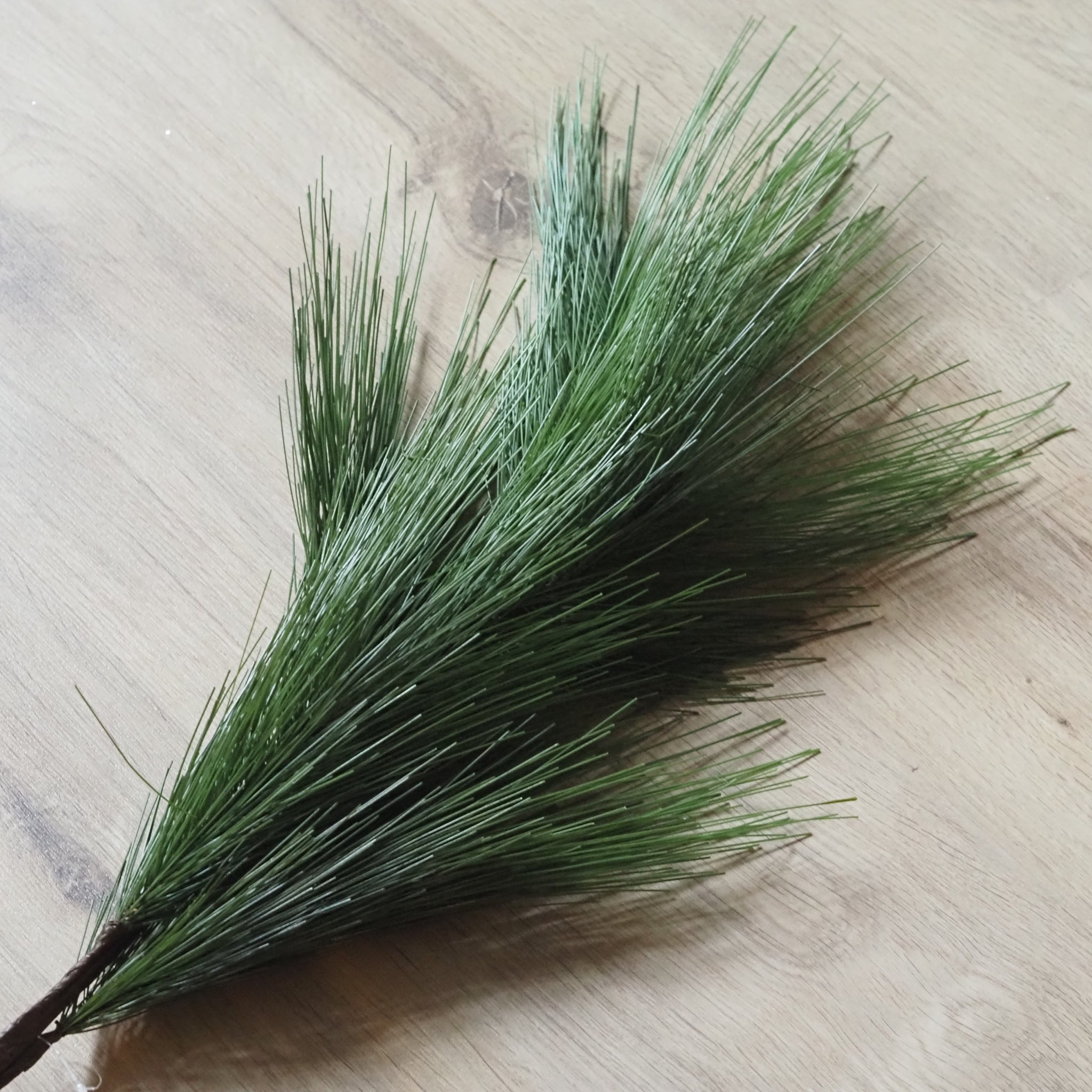 SAISON-DECOR-Kiefernzweig