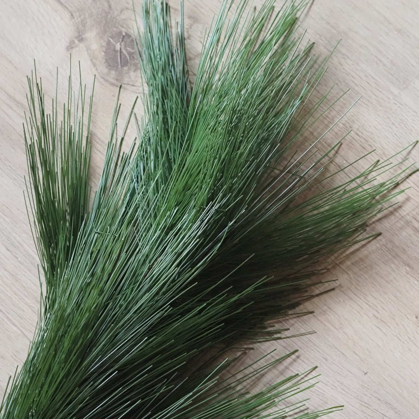 SAISON-DECOR-Kiefernzweig