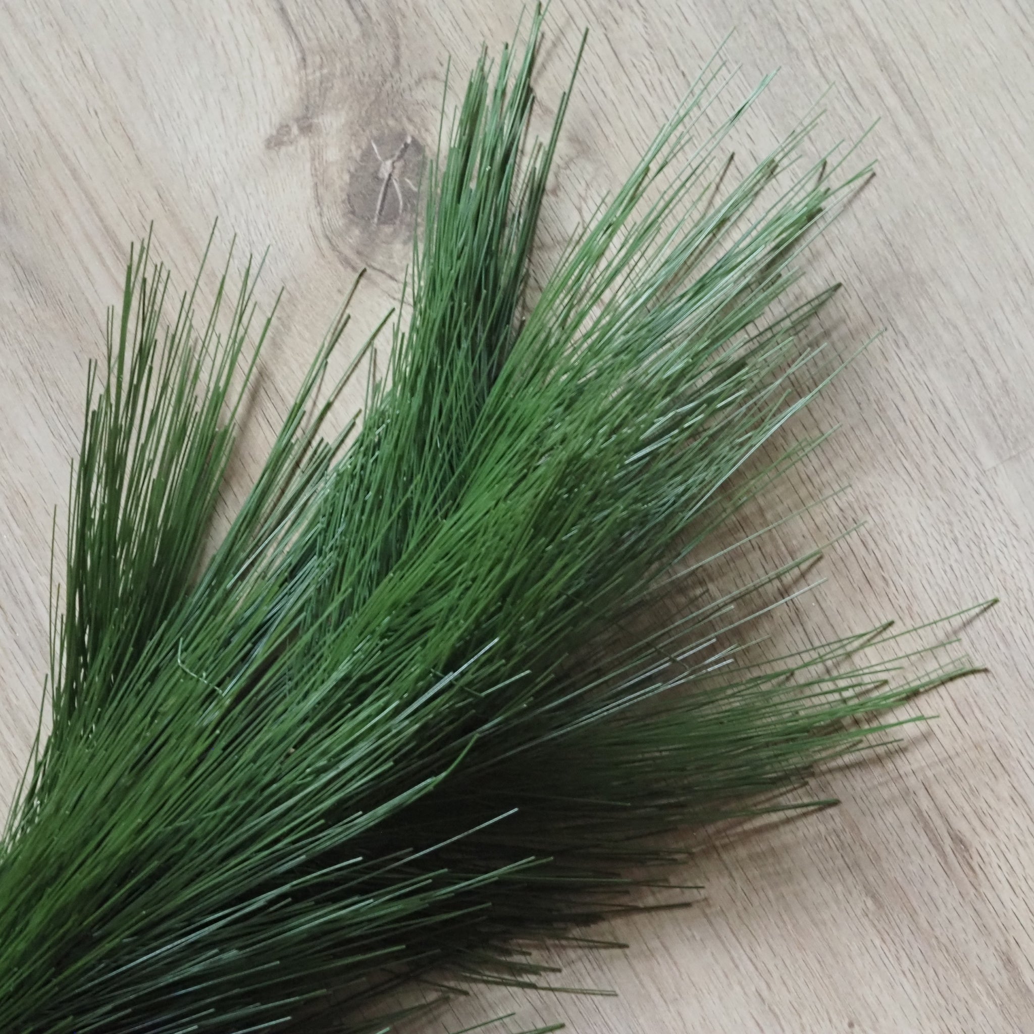 SAISON-DECOR-Kiefernzweig