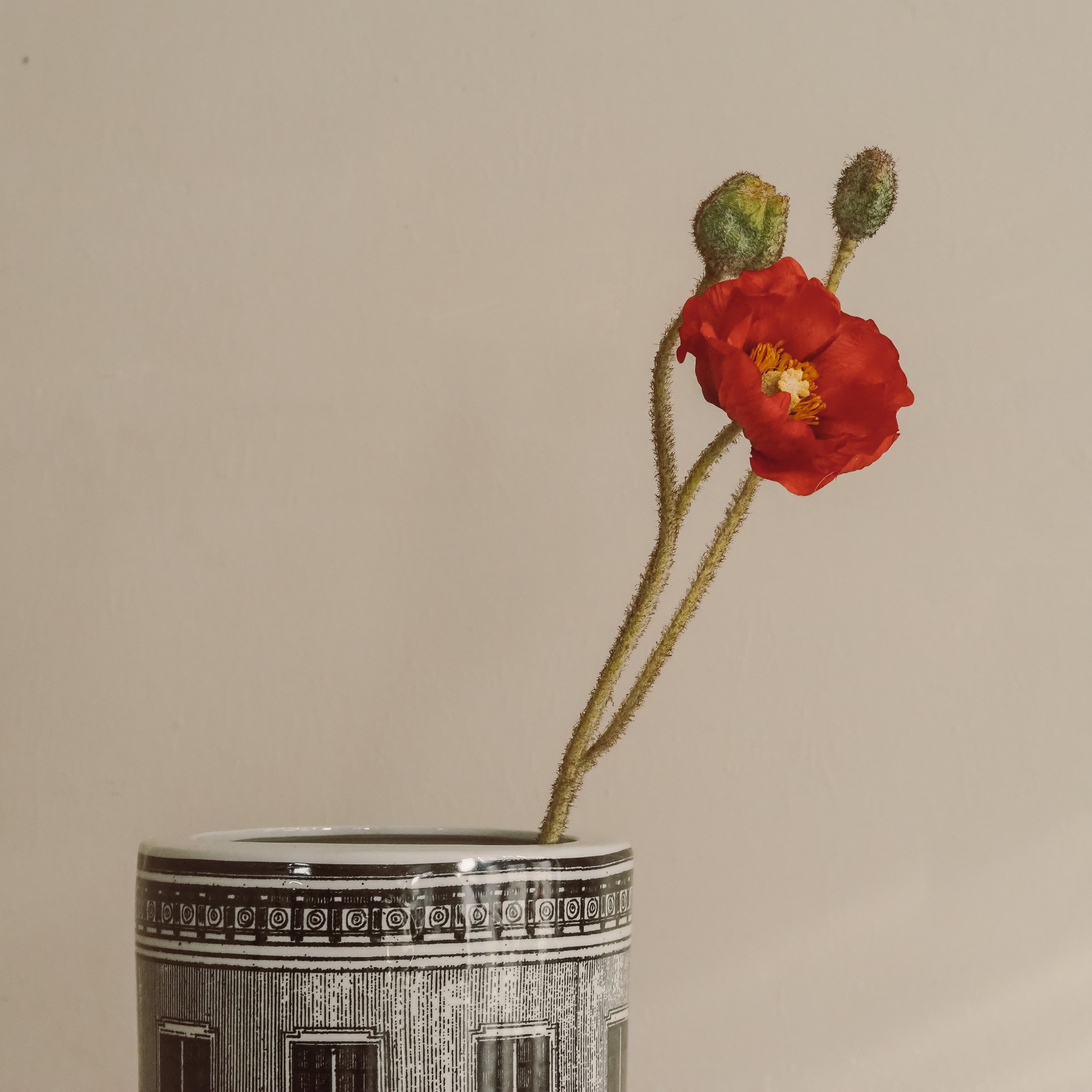 Mohnzweig Rot · Papaver mit realistischen Knospen 83 cm