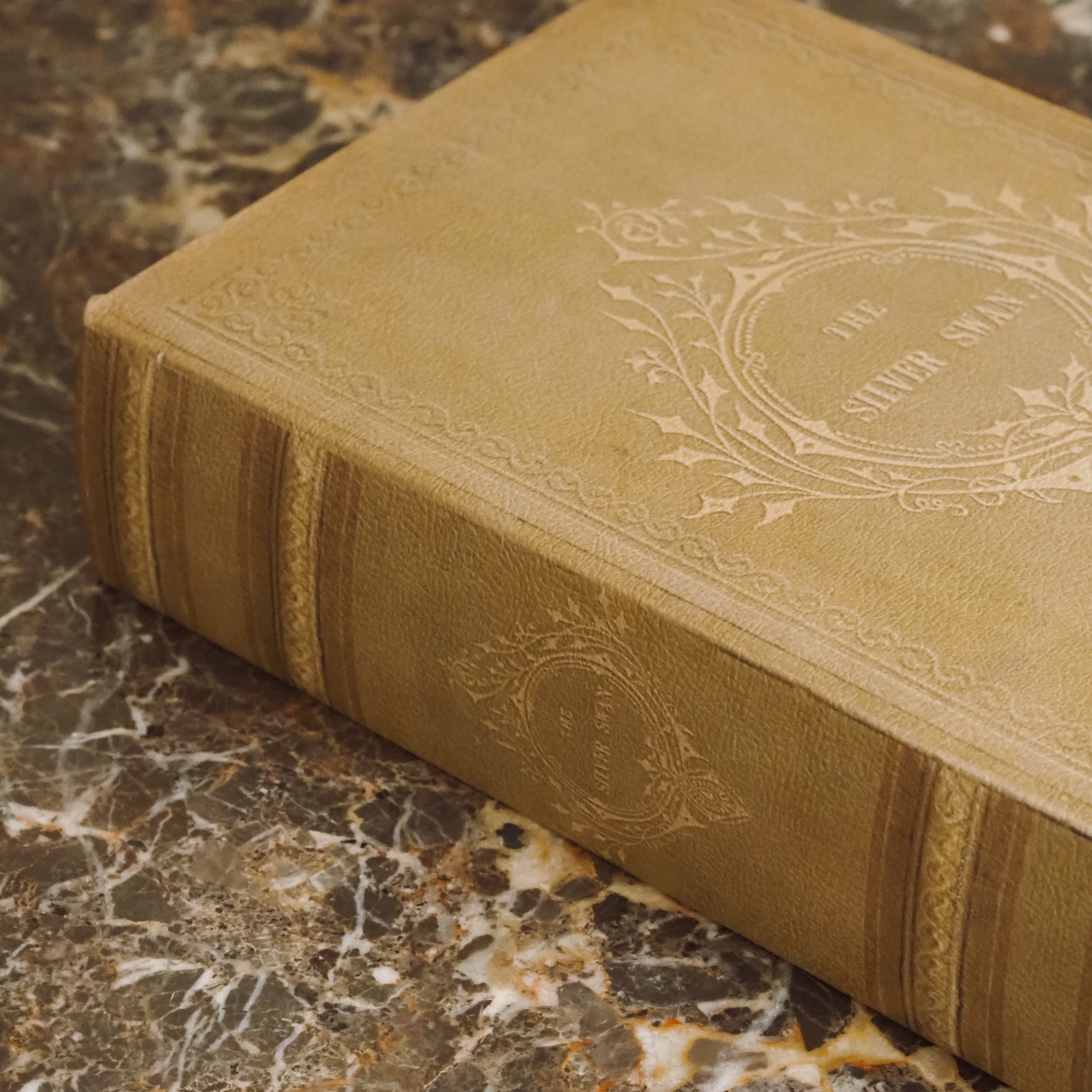 Aufbewahrungsbuch Olivbeige · Geprägte Buchbox im Stil viktorianischer Prachteinbände