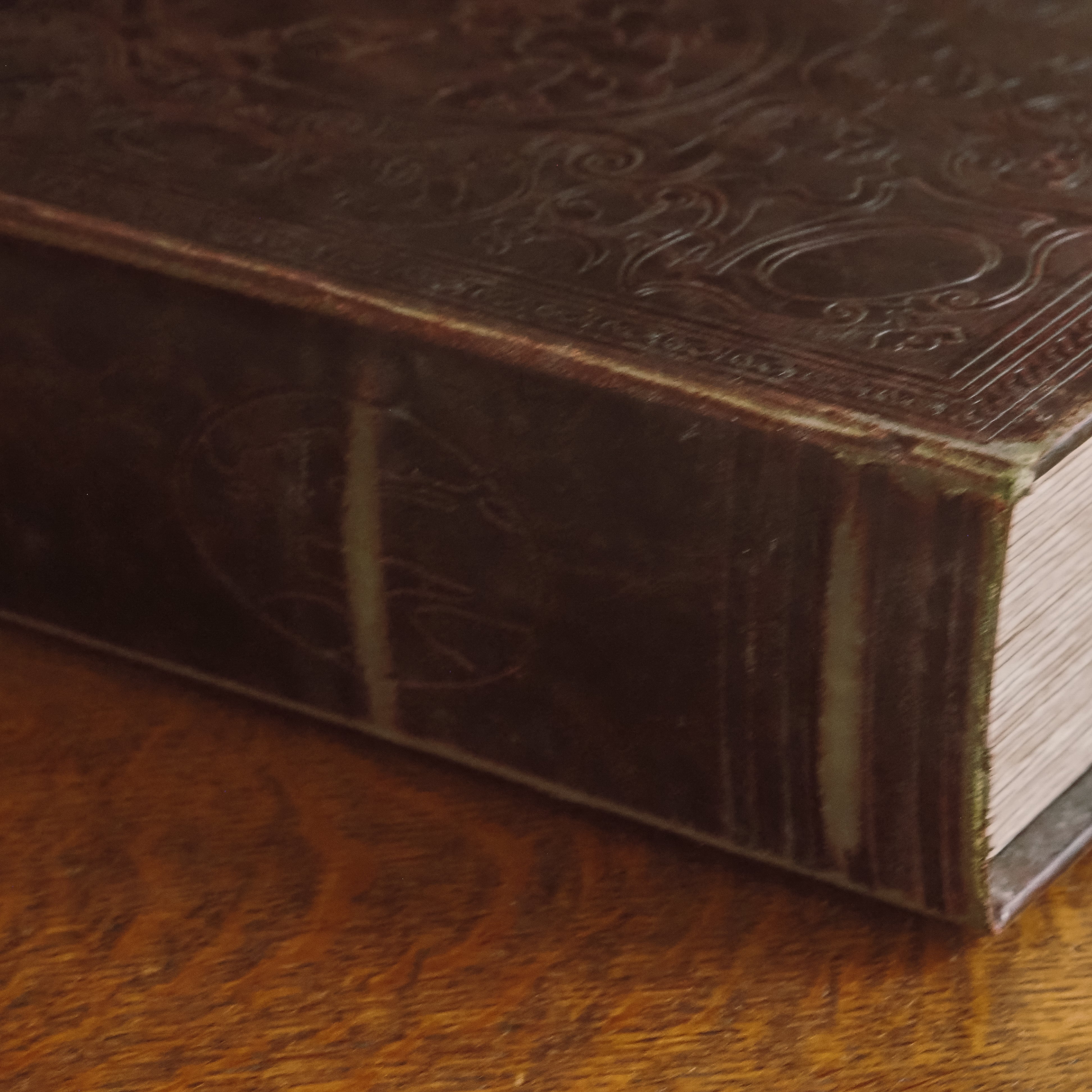 Buchbox Bordeaux · Reliefgeprägter Einband in Lederoptik, Historismus