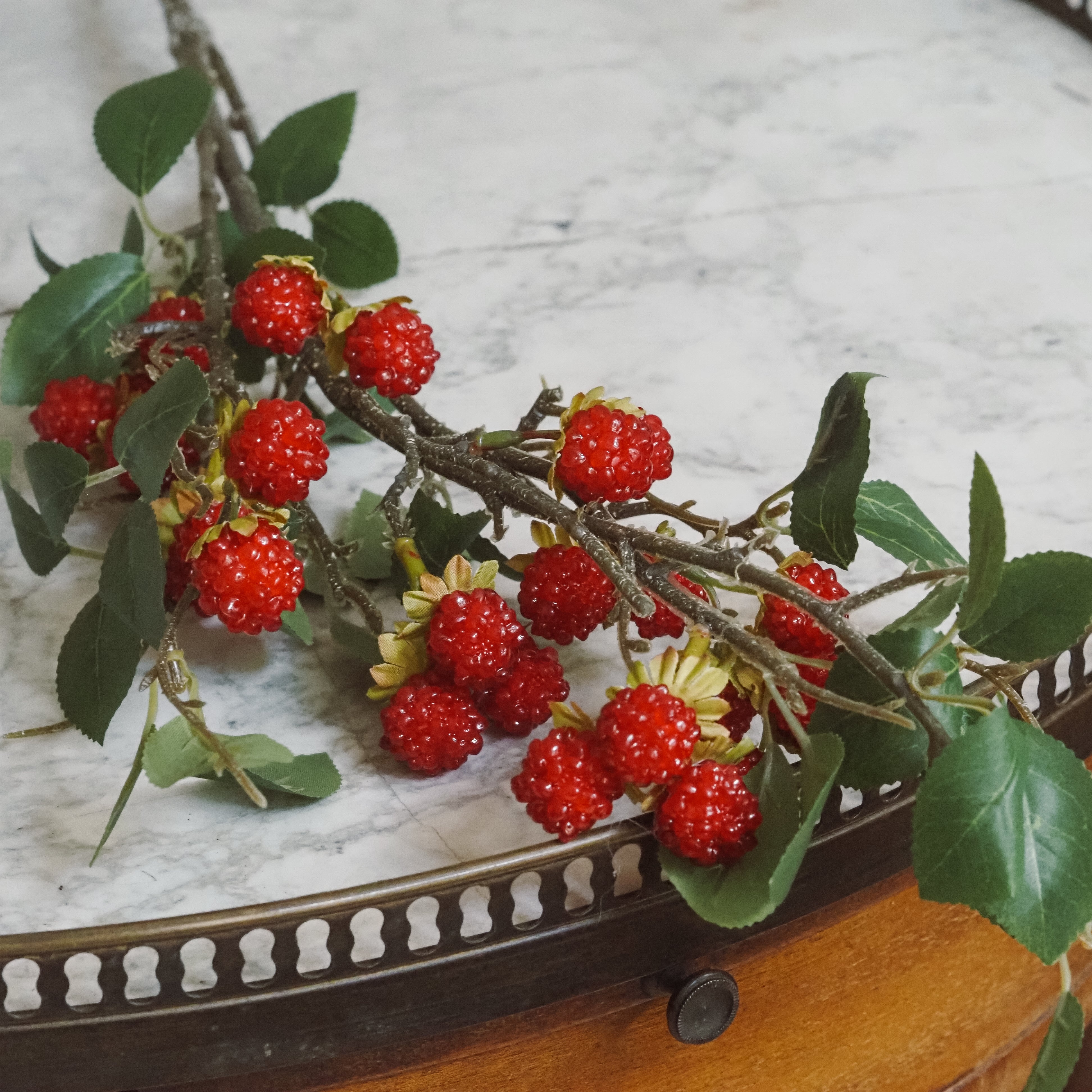 Himbeerzweig Rot · Langer Fruchtzweig mit Beeren und Laub