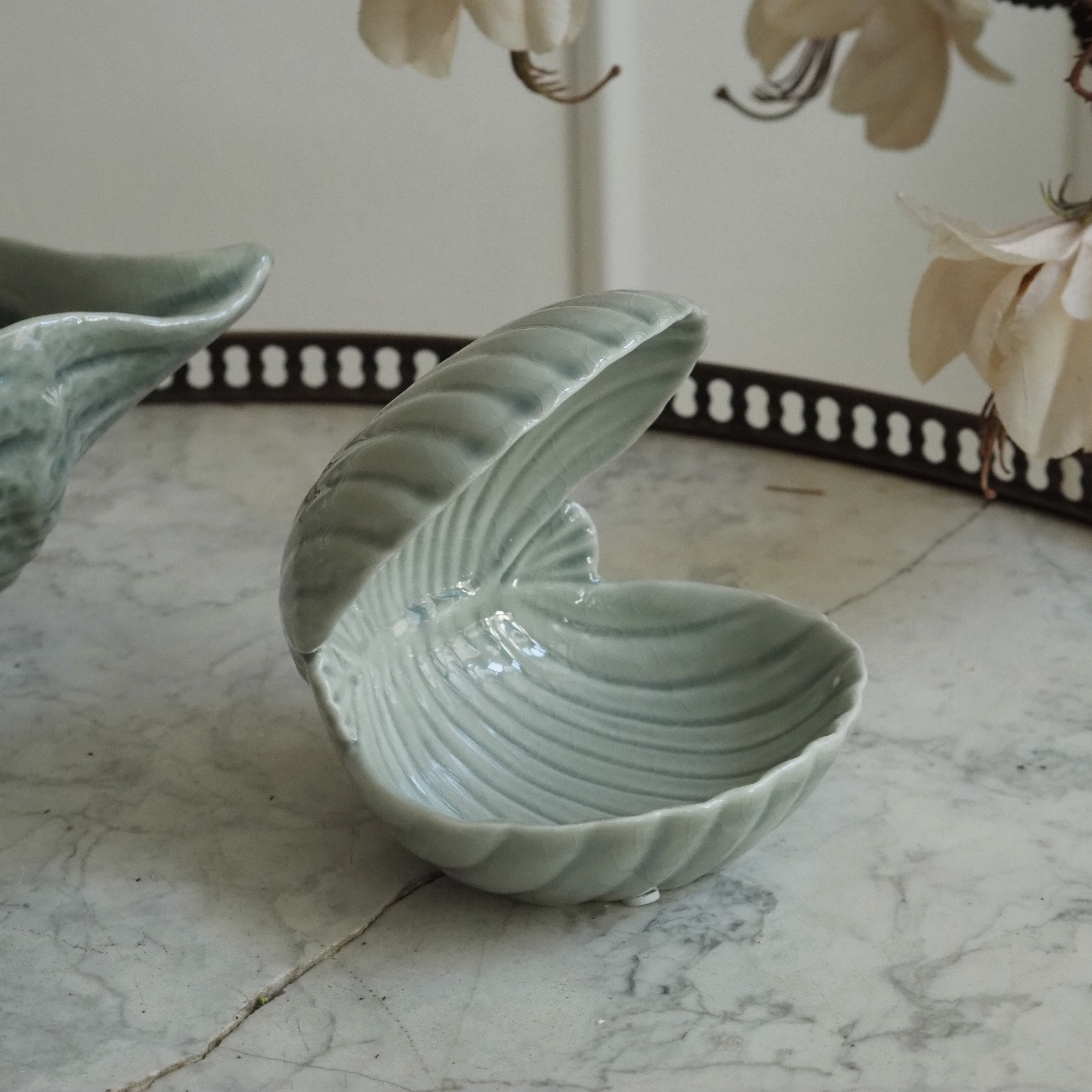 Muschelkeramik Celadon · Jakobsmuschel-Schale oder Tritonshorn-Gefäß aus Steingut, weiß-oliv