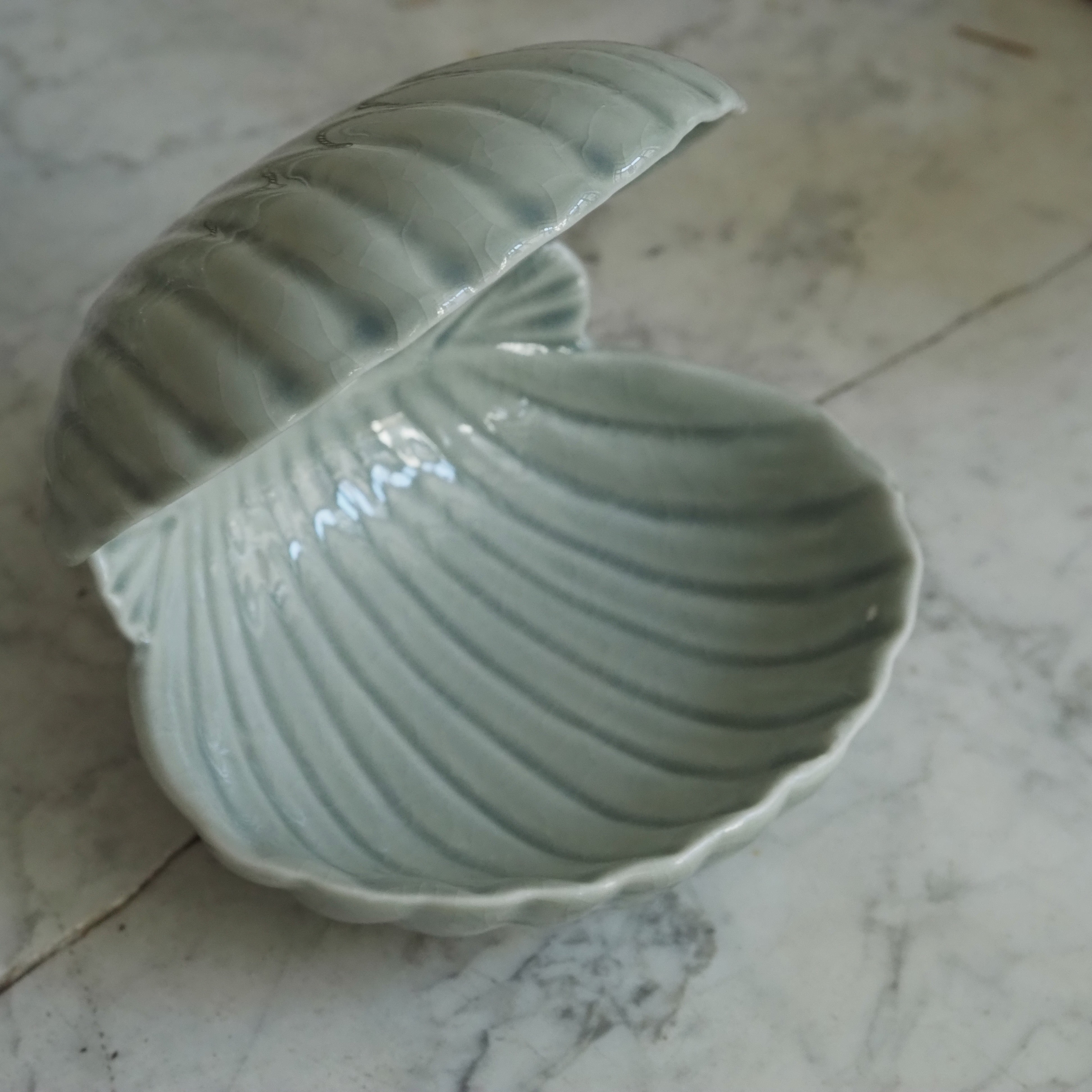 Muschelkeramik Celadon · Jakobsmuschel-Schale oder Tritonshorn-Gefäß aus Steingut, weiß-oliv