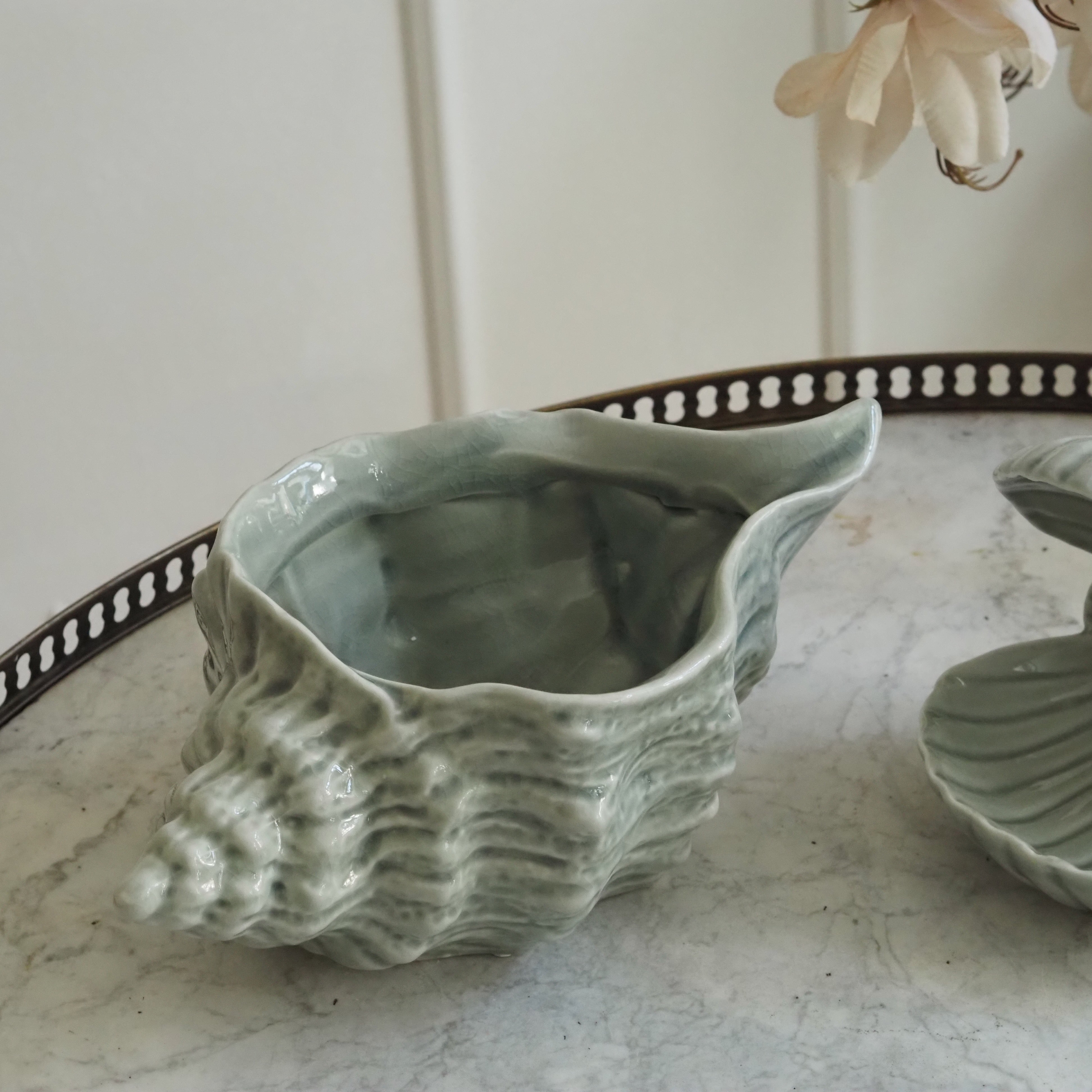Muschelkeramik Celadon · Jakobsmuschel-Schale oder Tritonshorn-Gefäß aus Steingut, weiß-oliv