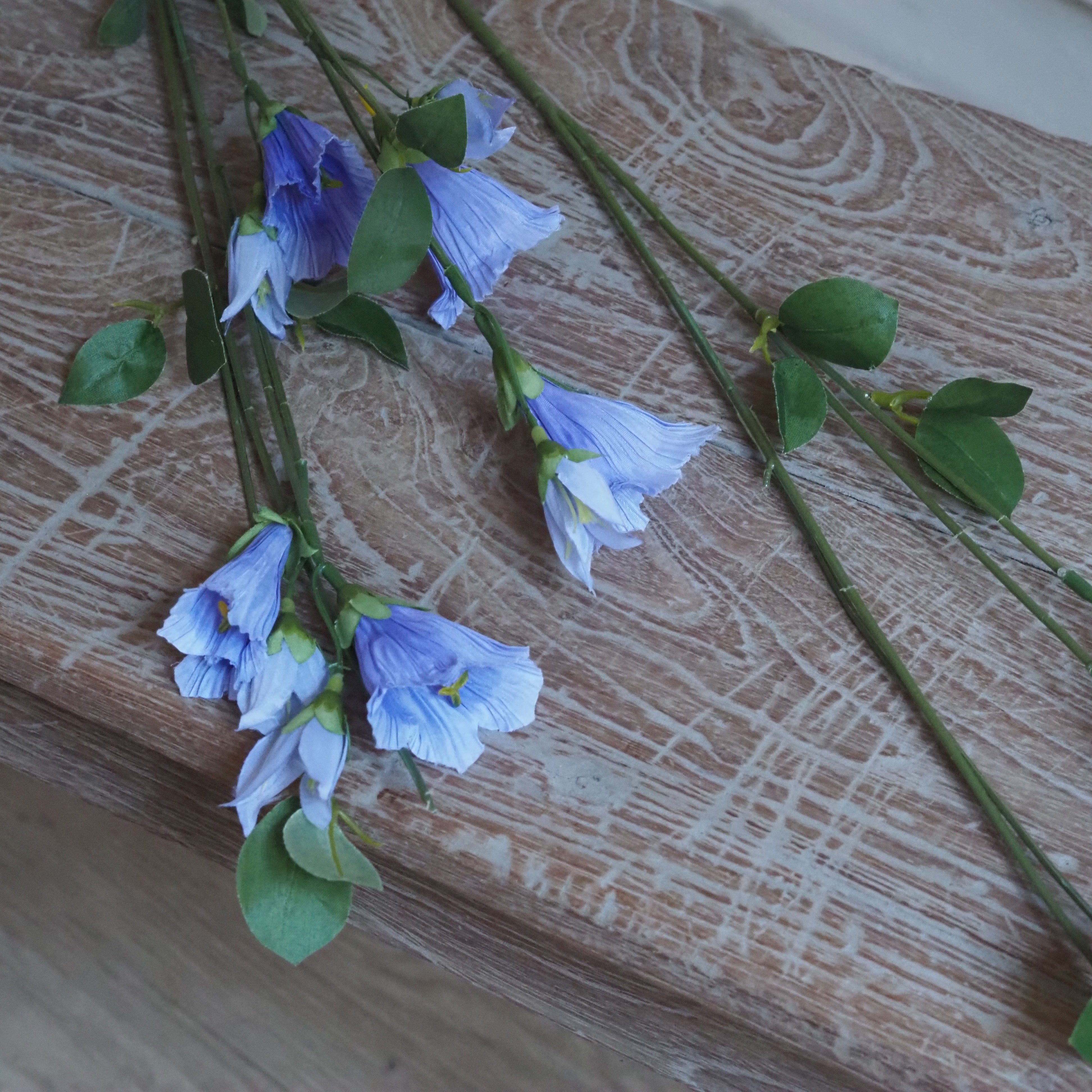 Glockenblume Hellblau · Campanula Stiel mit Glockenblüten in Lavendelblau 60 cm