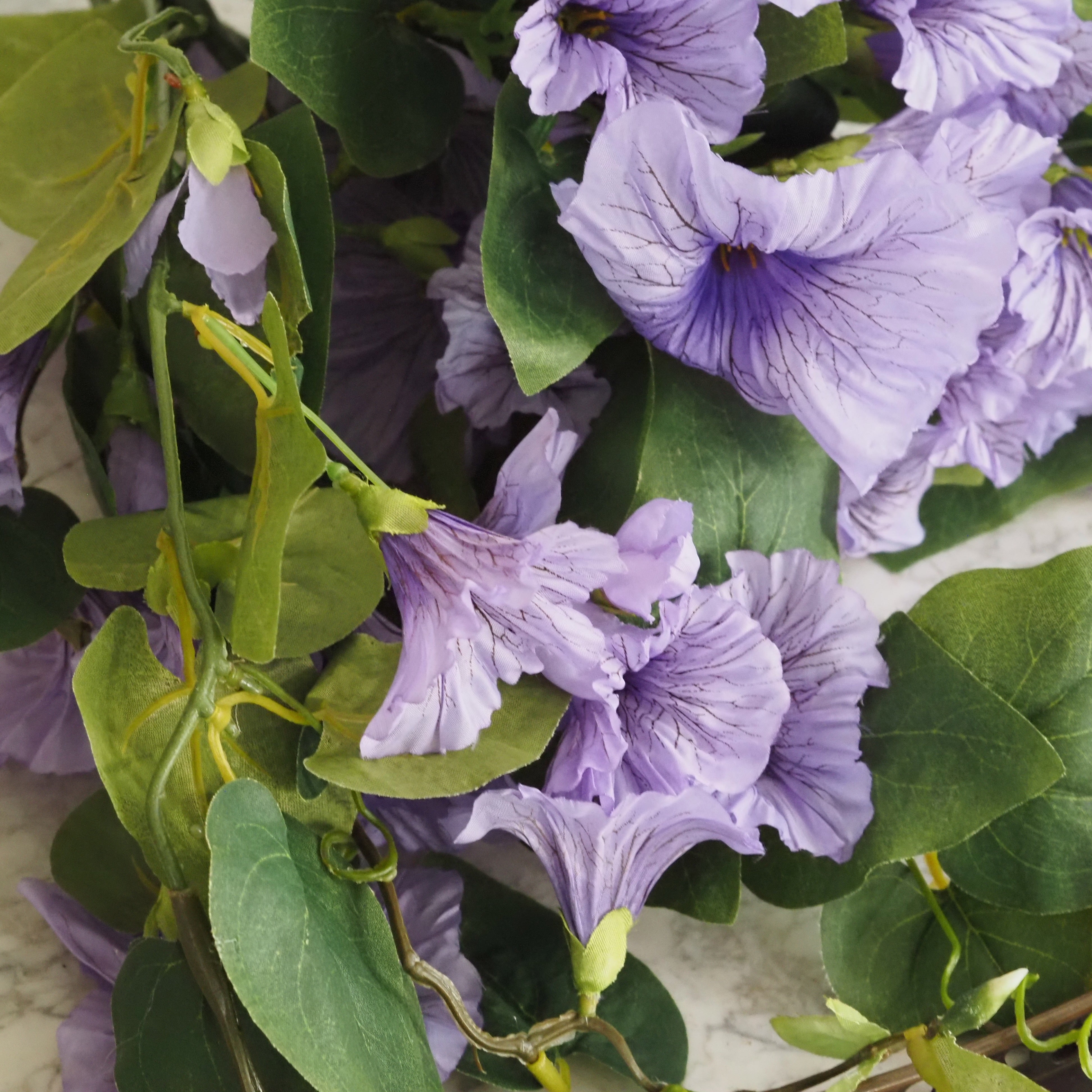 Hängepflanze Petunie · florales Dekorobjekt in Violett
