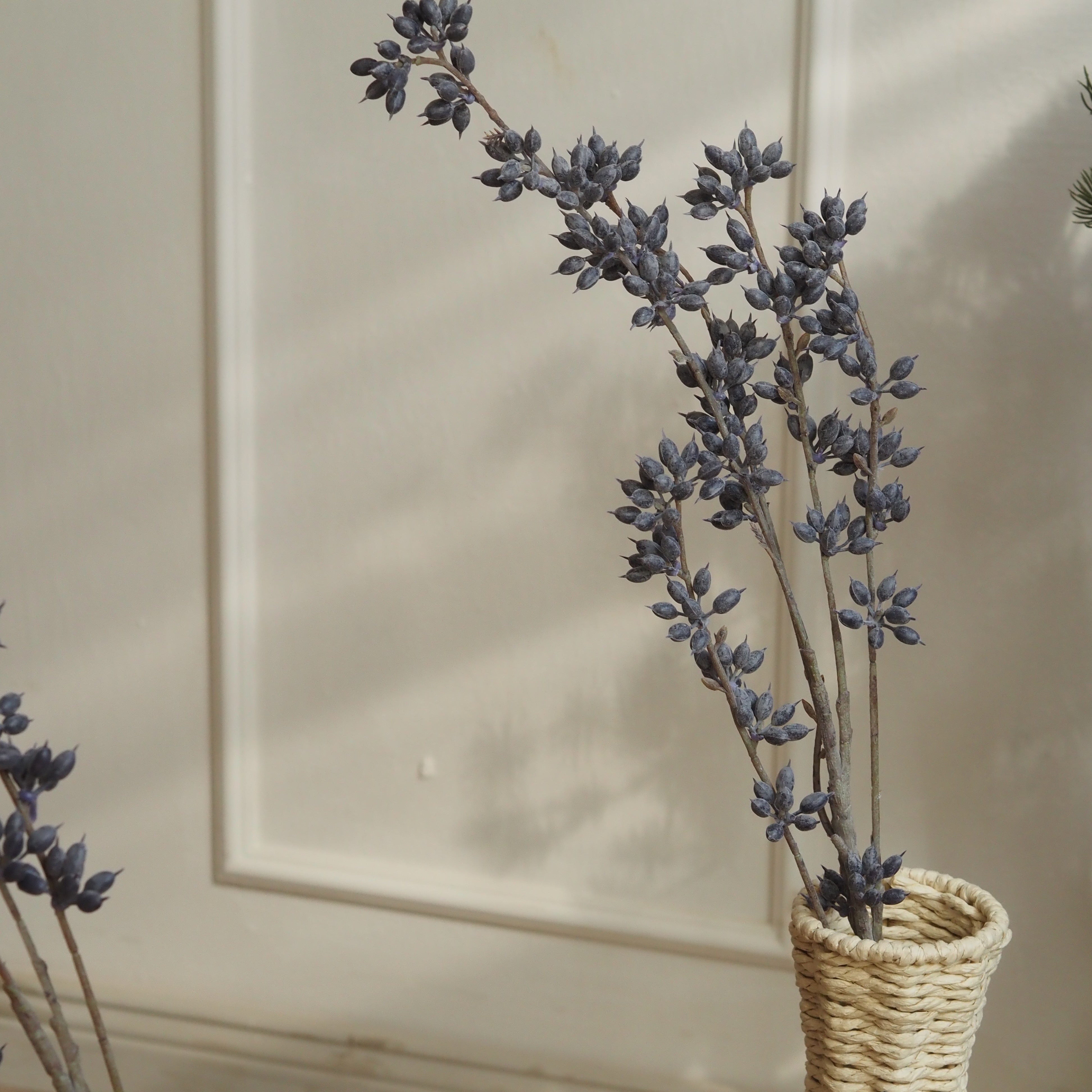 Eukalyptuszweig Graublau · Beerenzweig mit bereifter Oberfläche, 88 cm