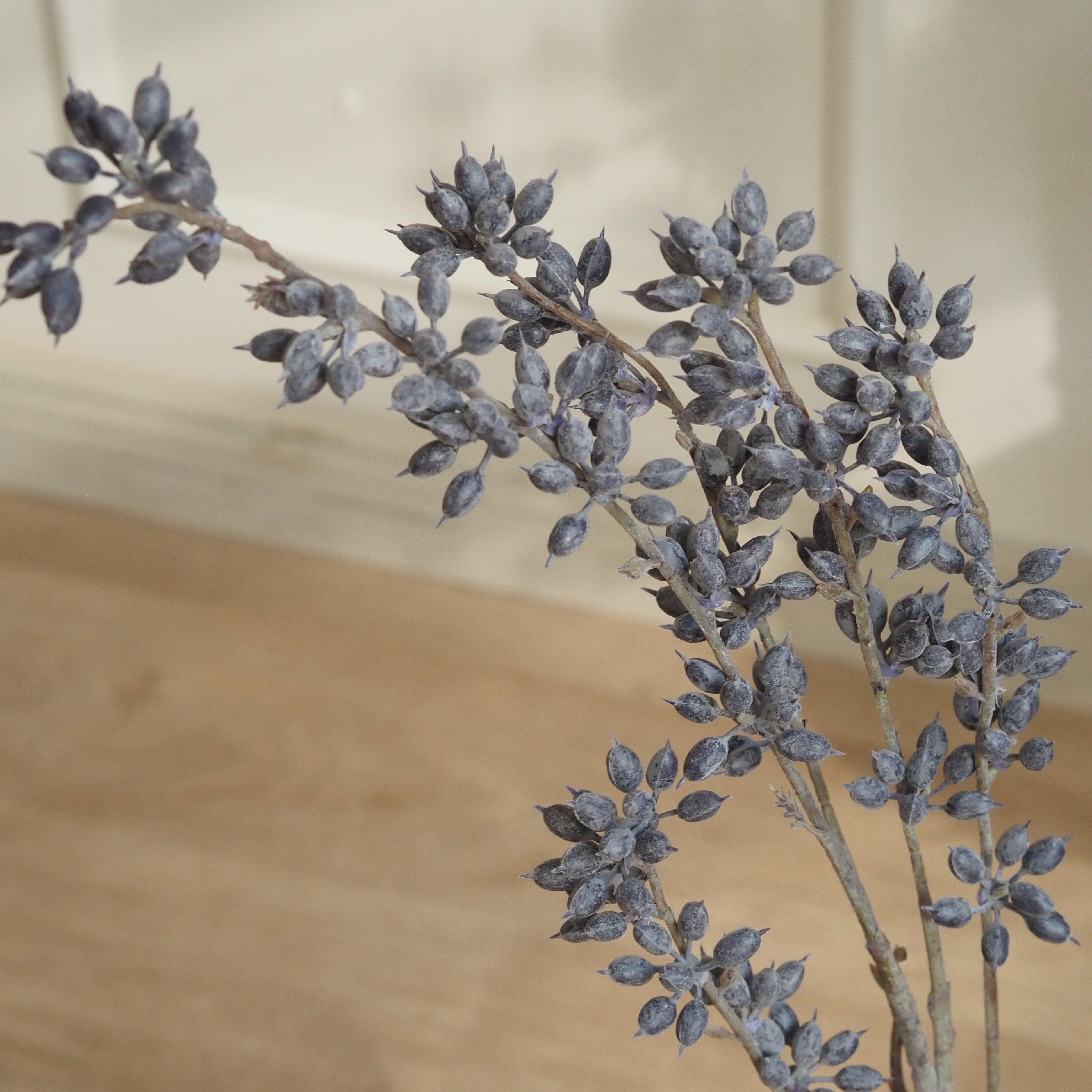 Eukalyptuszweig Graublau · Beerenzweig mit bereifter Oberfläche, 88 cm