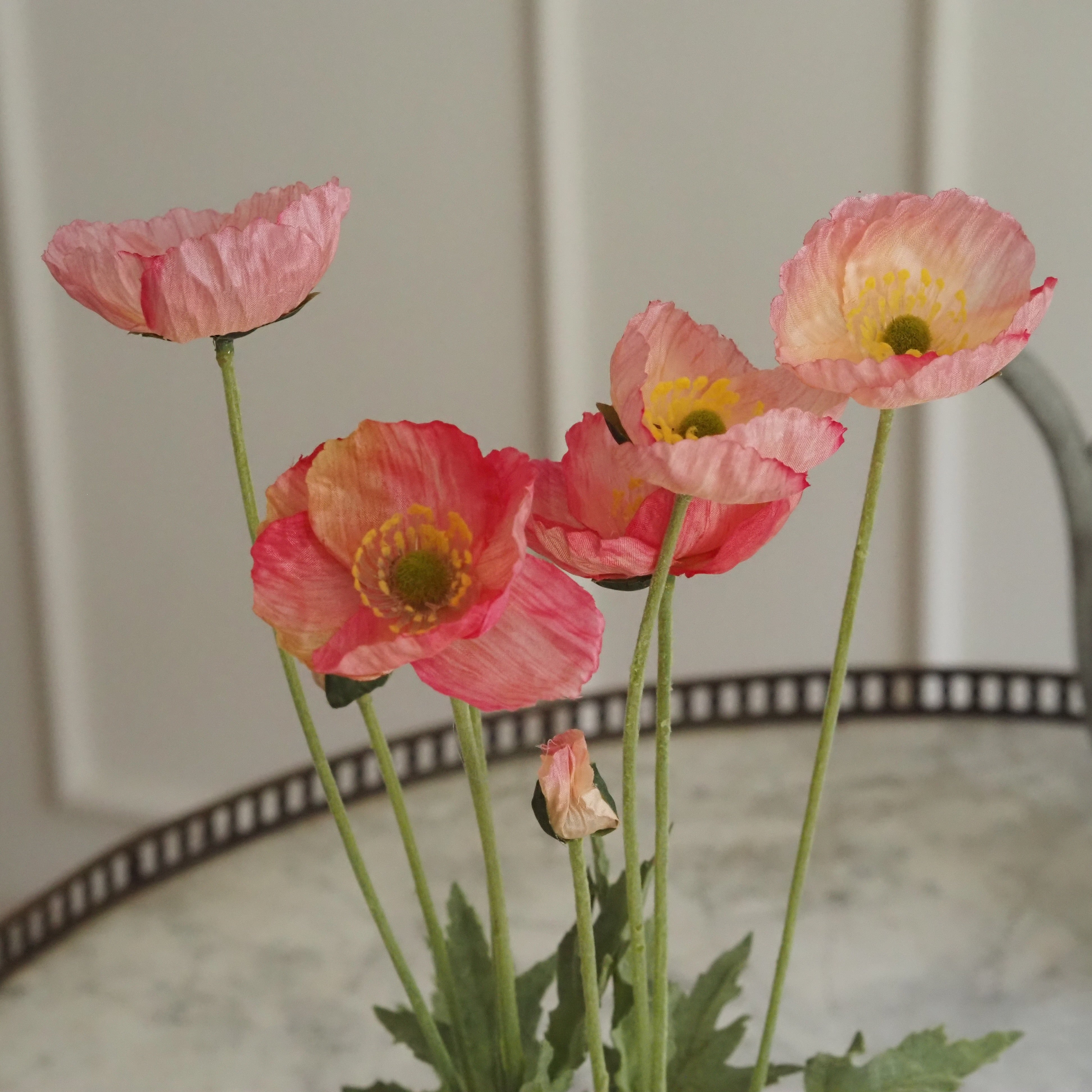 Mohn · Rosa-Korall Mohnblüten im Terrakotta-Topf