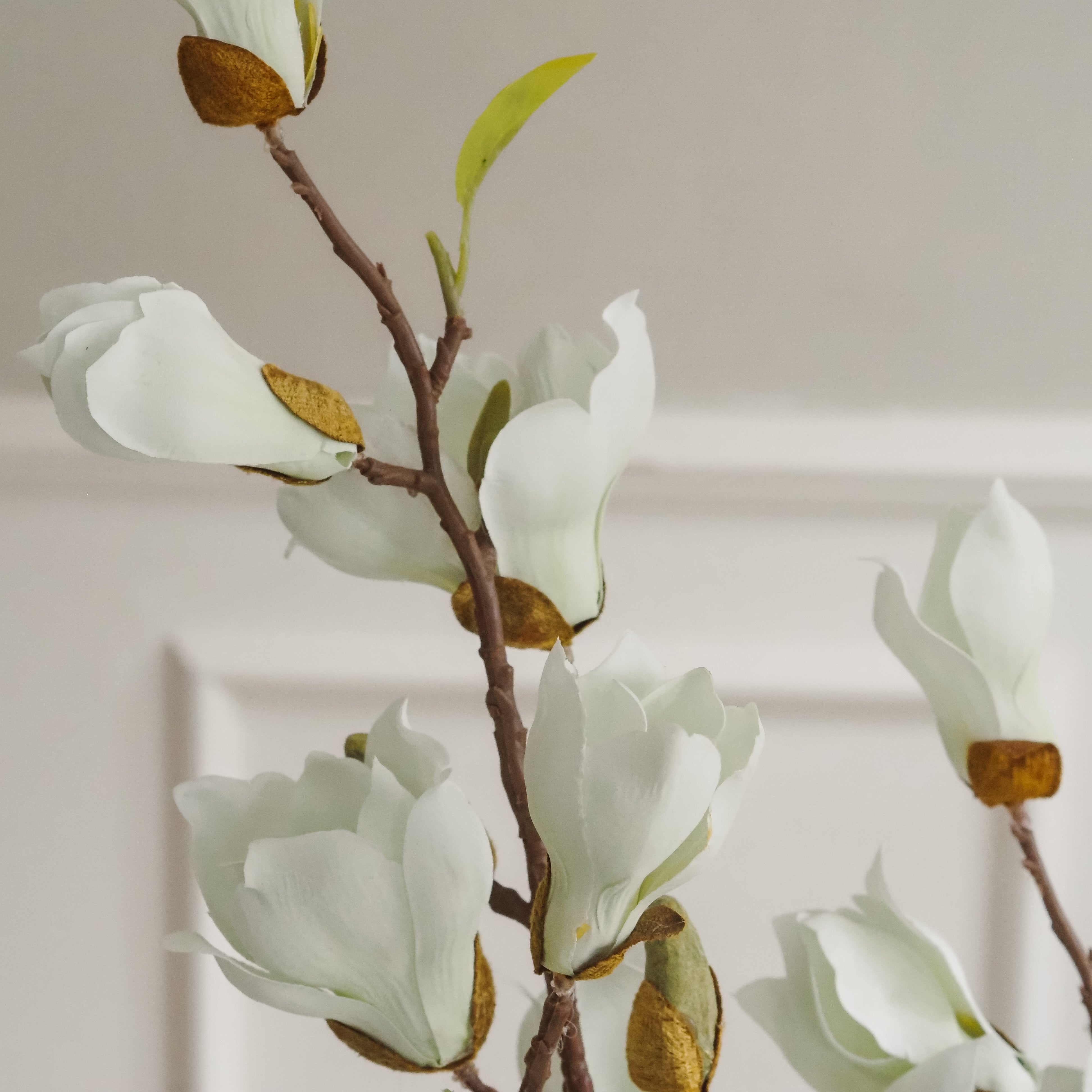 Magnolienzweig Weiß-Creme · Naturalistischer Blütenzweig mit Knospen