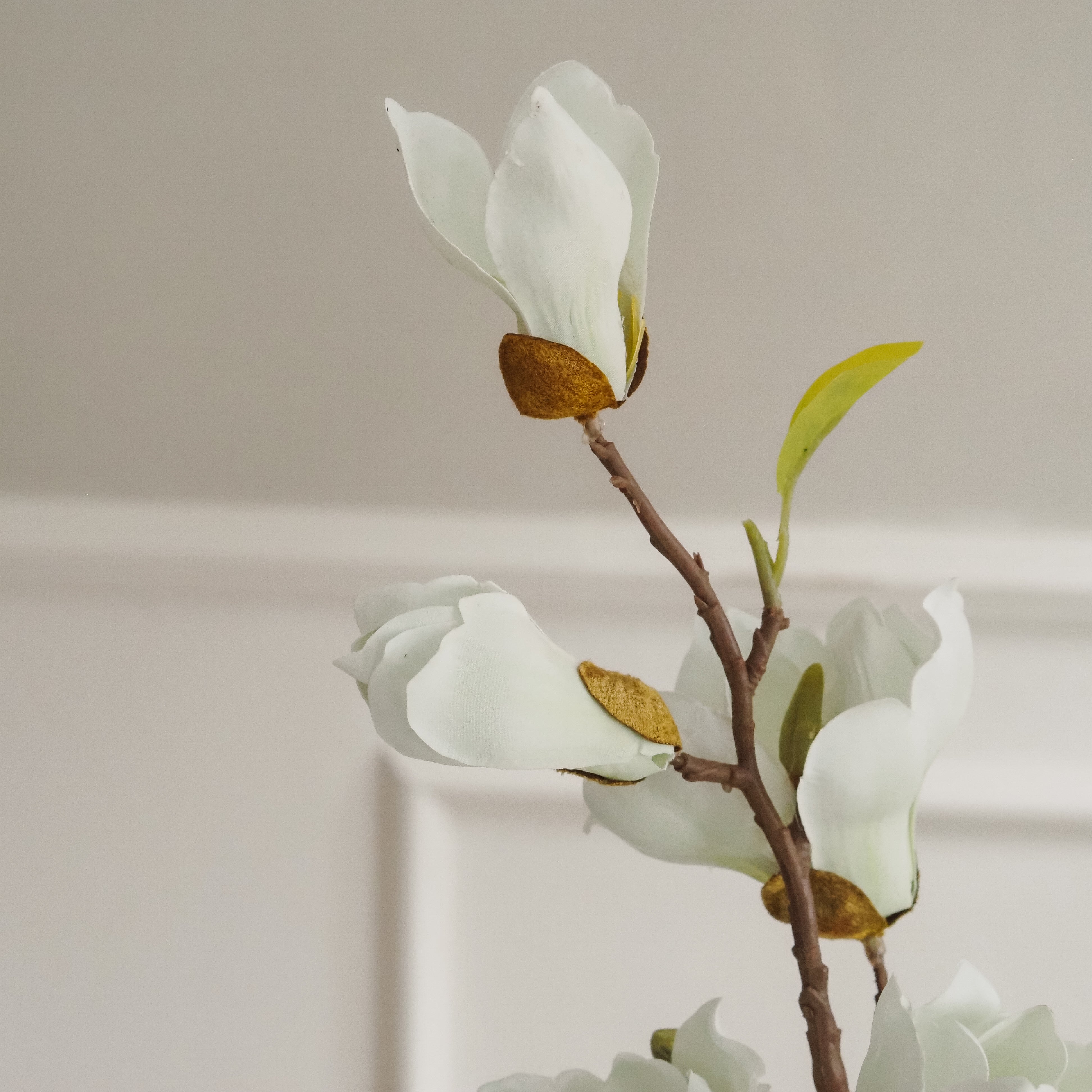 Magnolienzweig Weiß-Creme · Naturalistischer Blütenzweig mit Knospen
