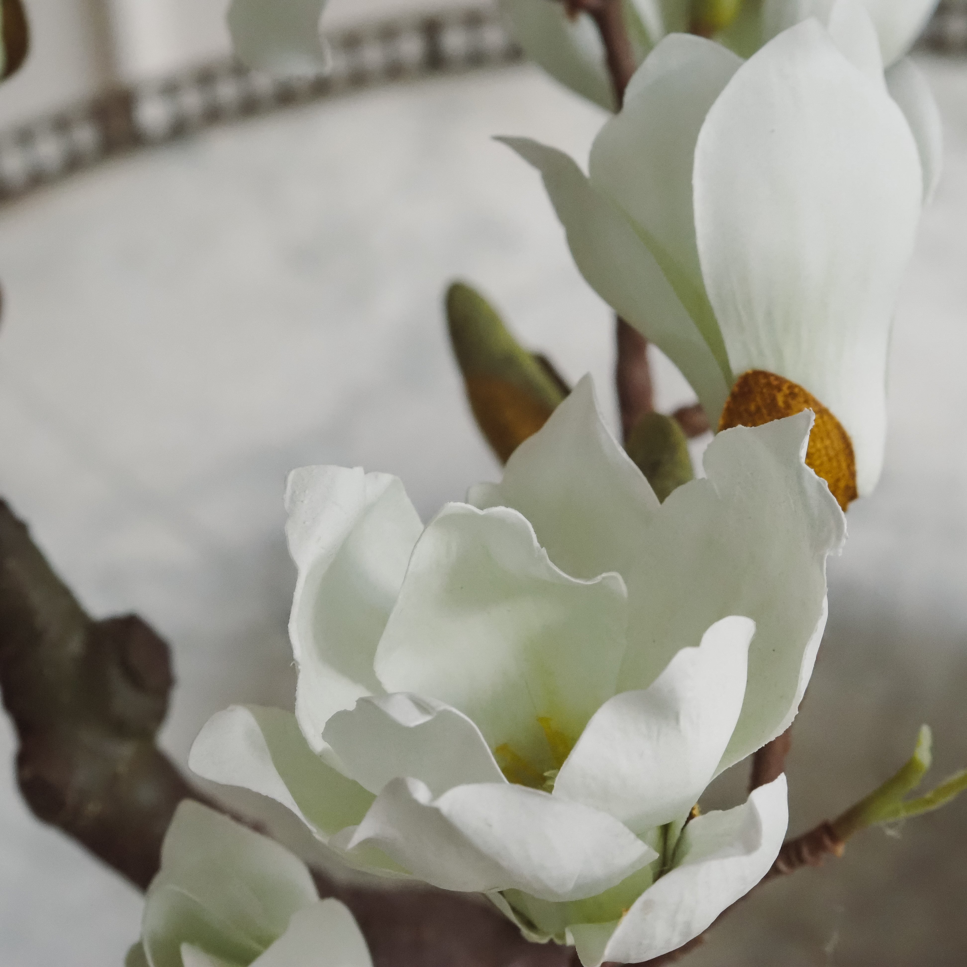 Magnolienzweig Weiß-Creme · Naturalistischer Blütenzweig mit Knospen