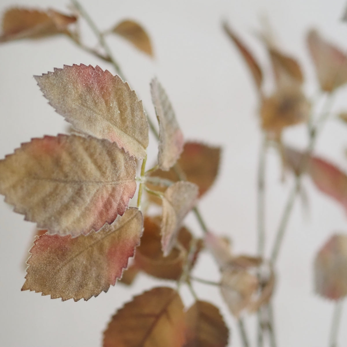 Rosenzweige Herbstlaub · 2er-Set Braun Grün Rosé Landhaus