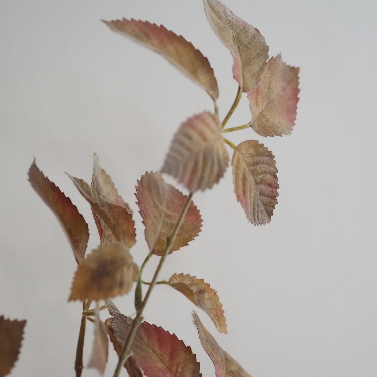 Rosenzweige Herbstlaub · 2er-Set Braun Grün Rosé Landhaus
