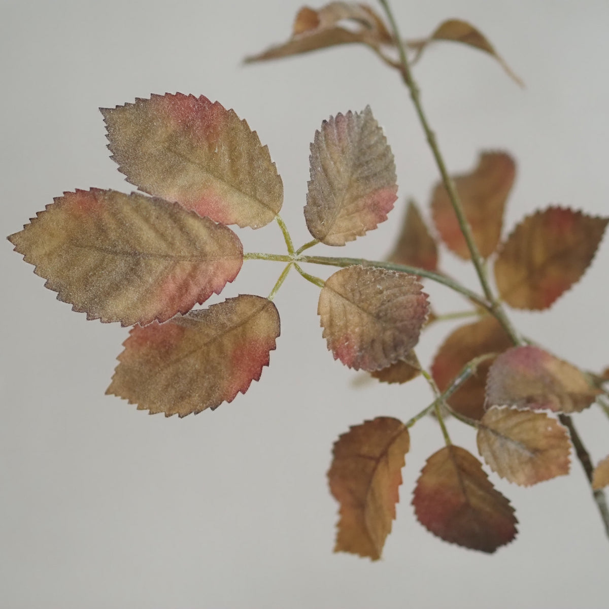 Rosenzweige Herbstlaub · 2er-Set Braun Grün Rosé Landhaus