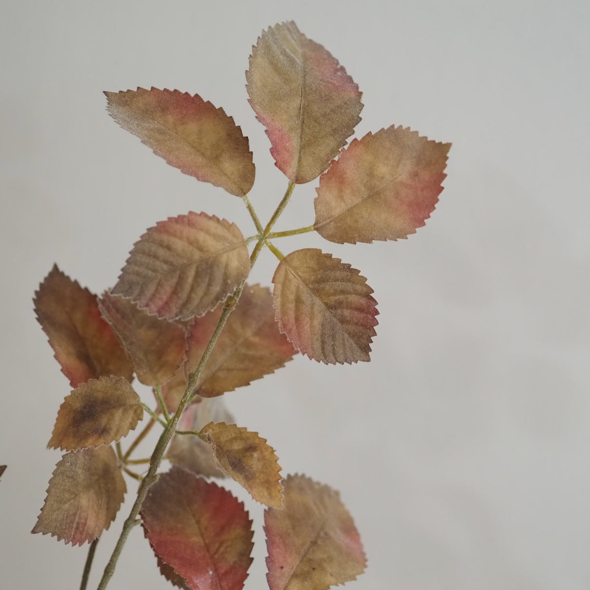 Rosenzweige Herbstlaub · 2er-Set Braun Grün Rosé Landhaus