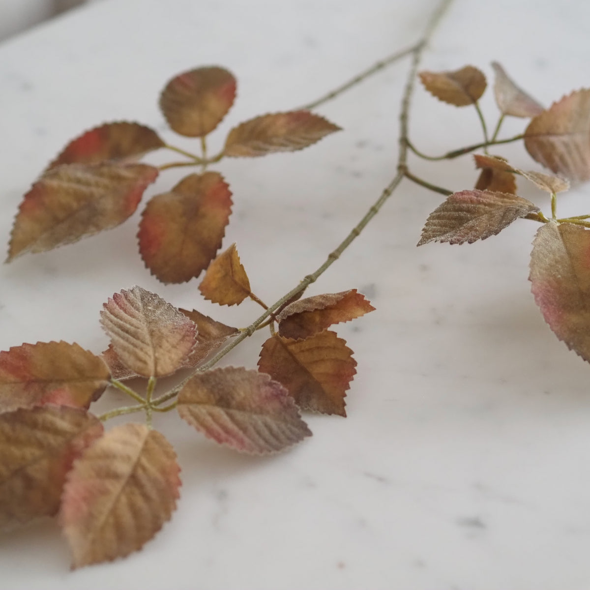 Rosenzweige Herbstlaub · 2er-Set Braun Grün Rosé Landhaus