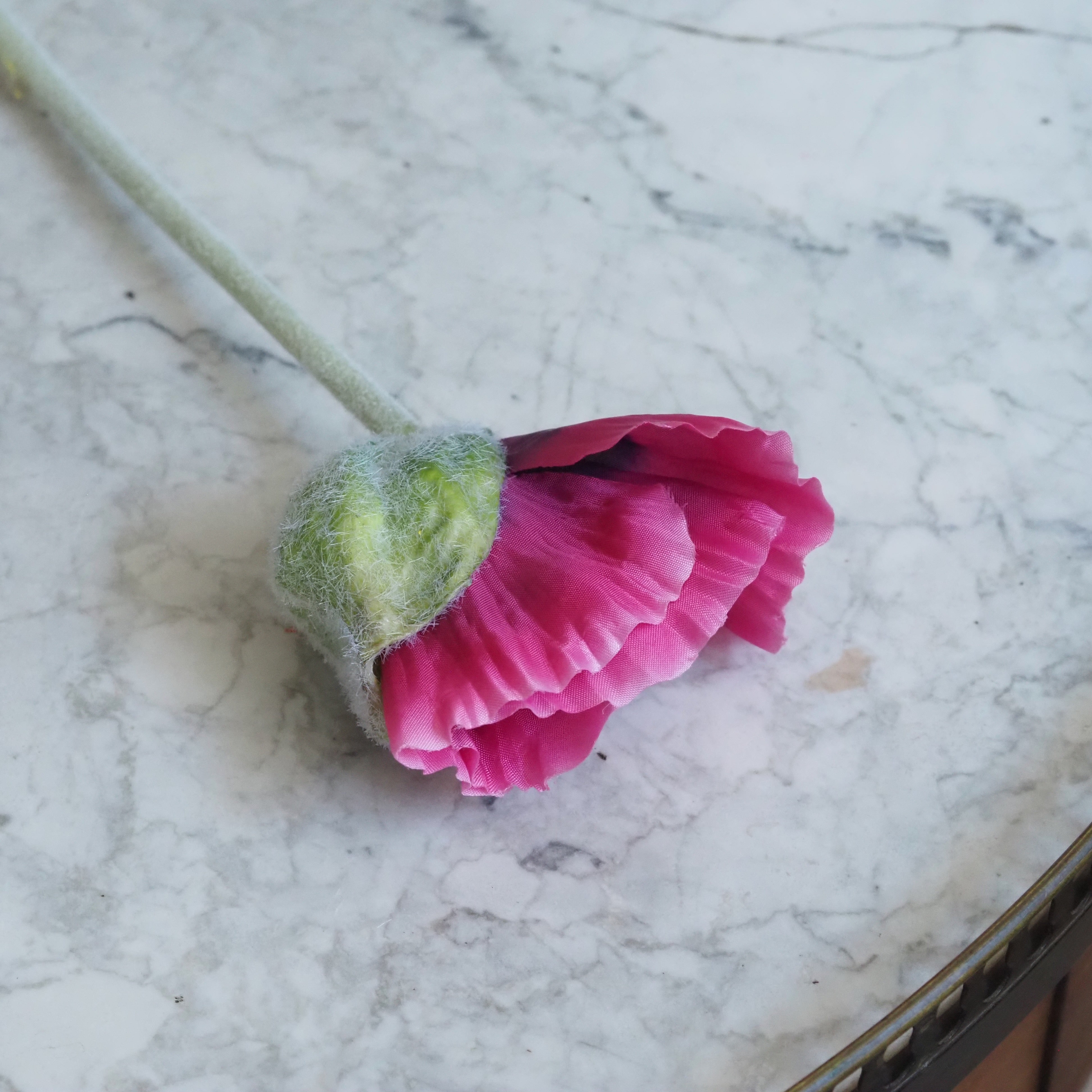 Mohn-Stiel Pink · Blume mit gefälteltem Blütenblatt, 2er Set