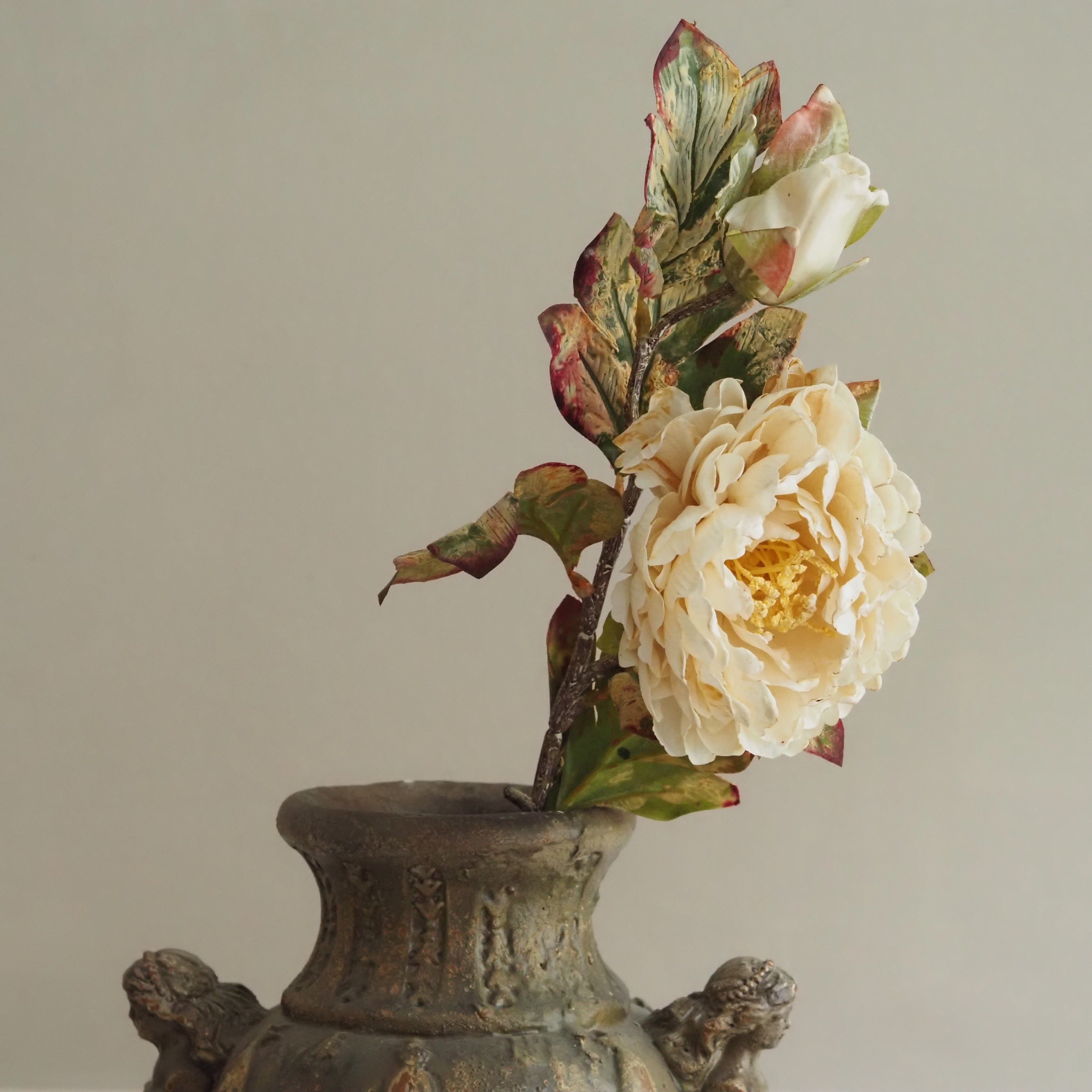 Pfingstrosenzweig Champagner · Blüte und Knospe in Cottage-Garten-Optik