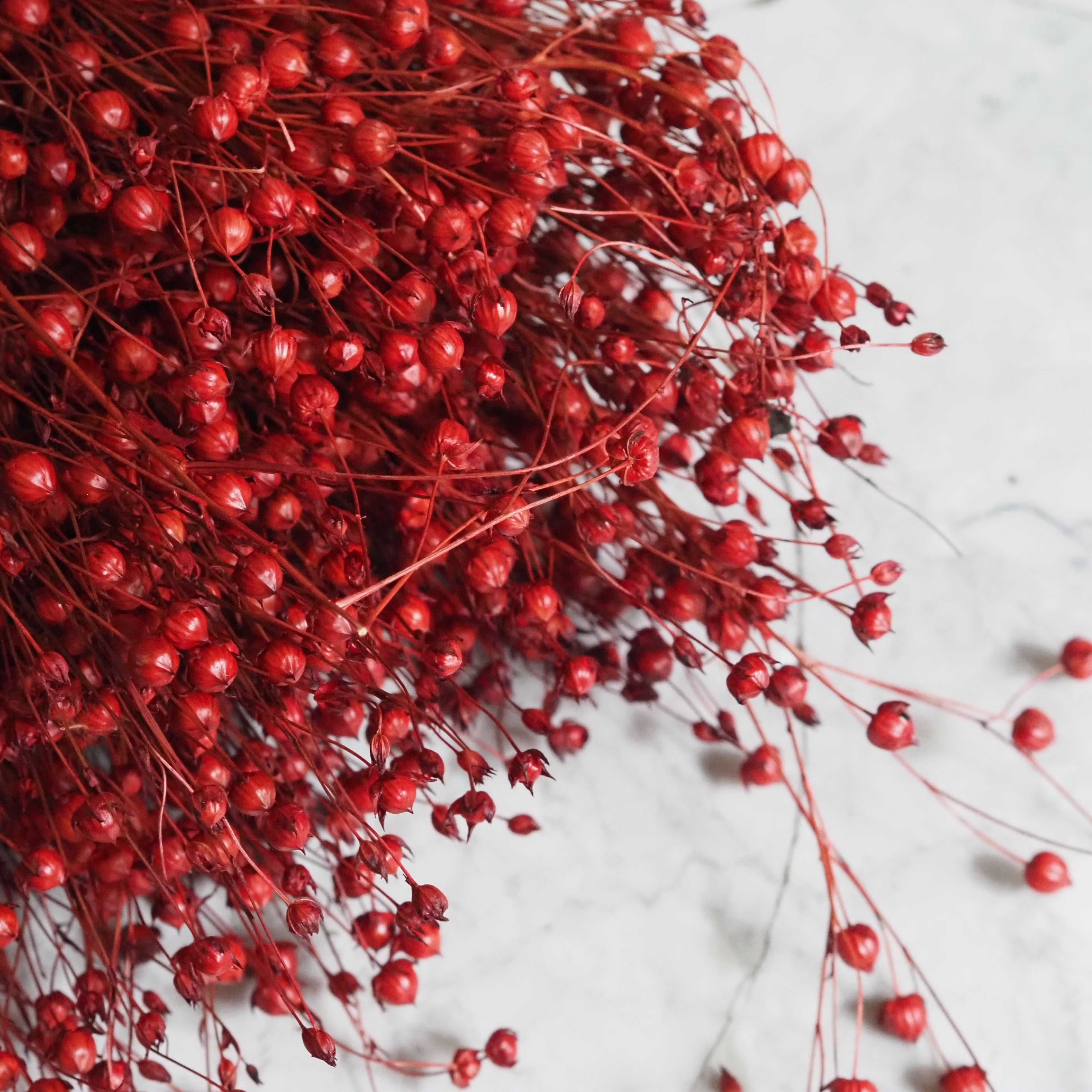 Beerenzweig Rot · Dichter Dekozweig in winterlicher Bund-Optik