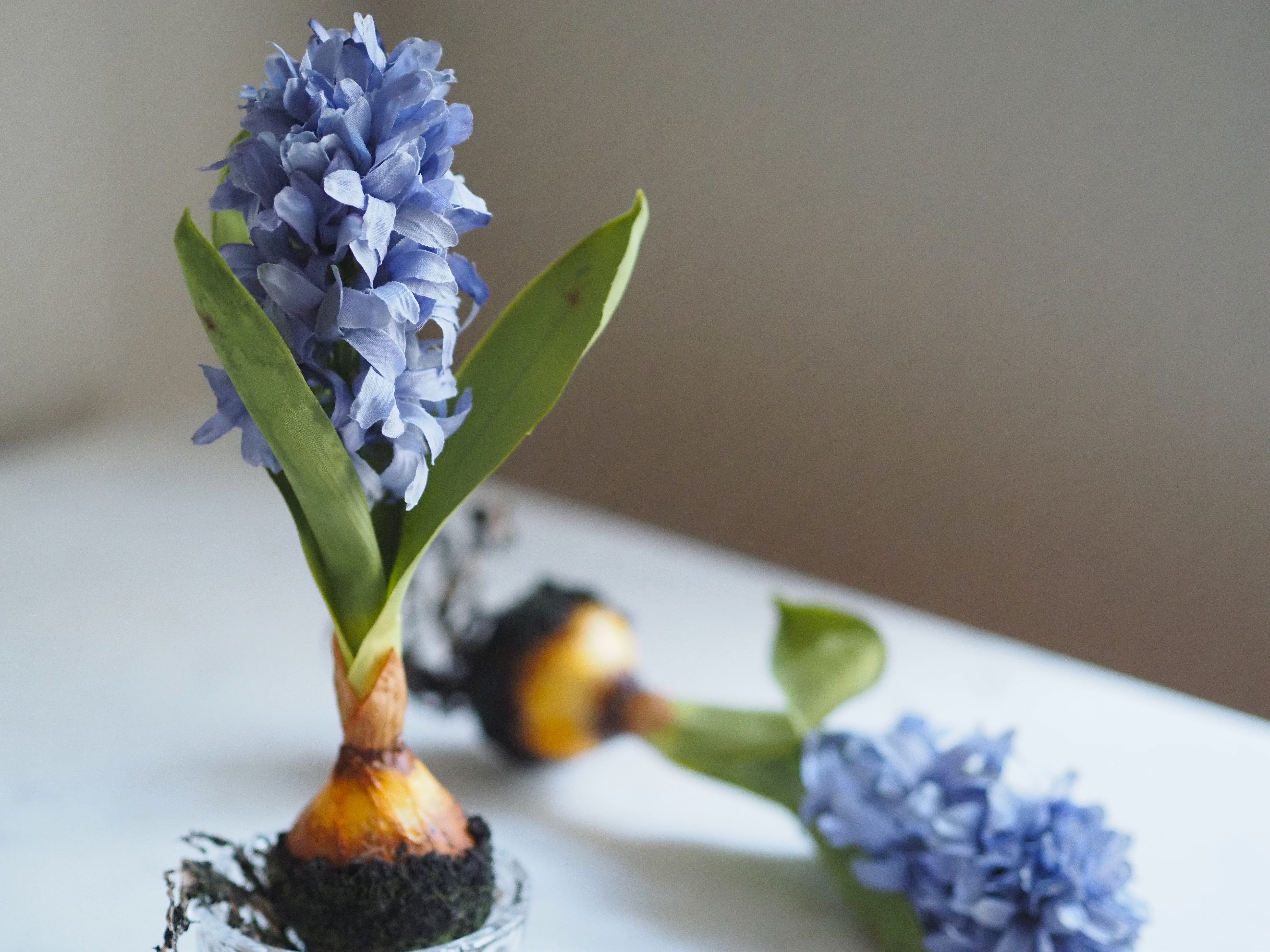 Hyazinthen mit Zwiebel · 2er Set / Frühlingsdekoration / Kunstblumen