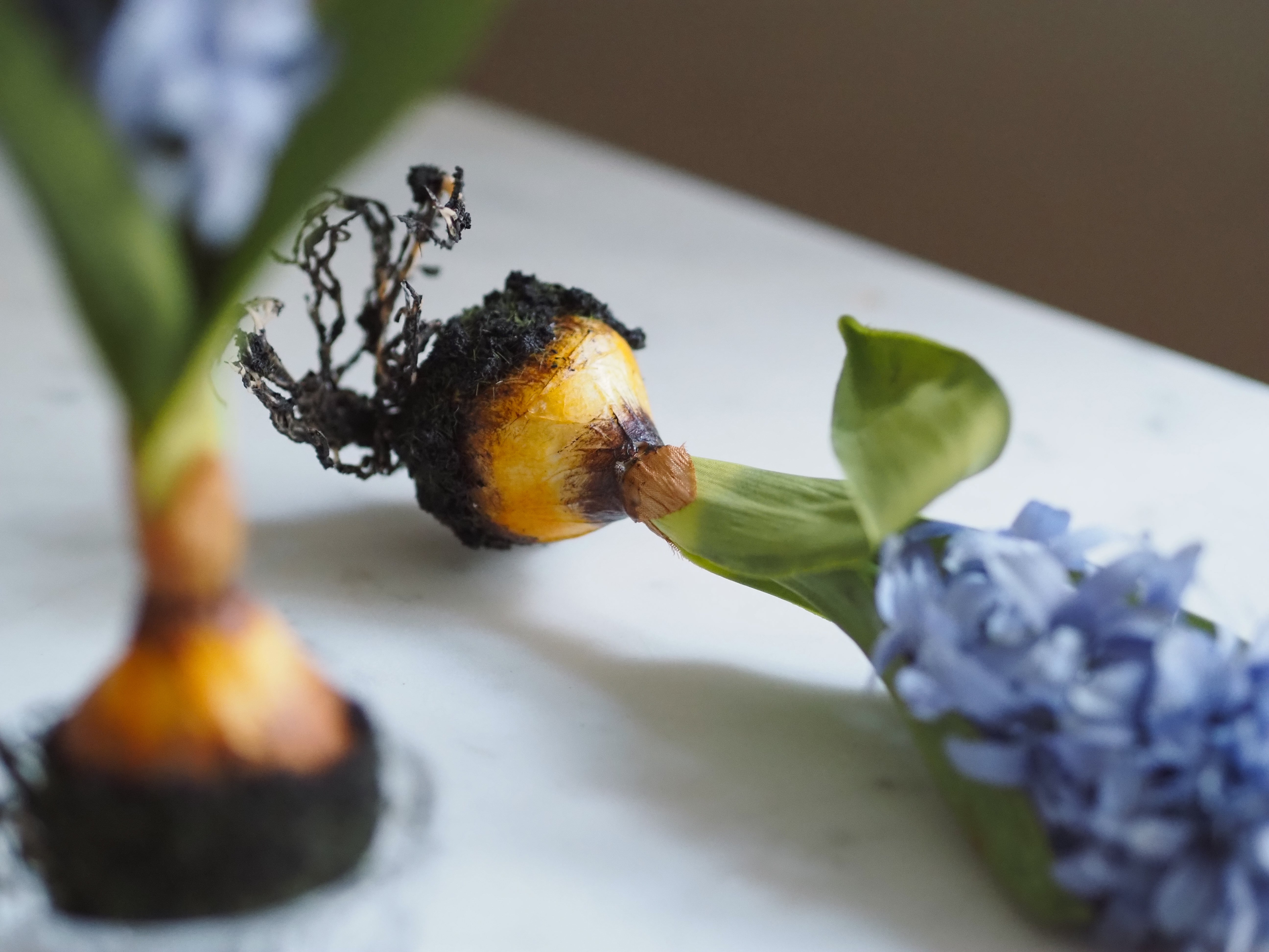 Hyazinthen mit Zwiebel · 2er Set / Frühlingsdekoration / Kunstblumen