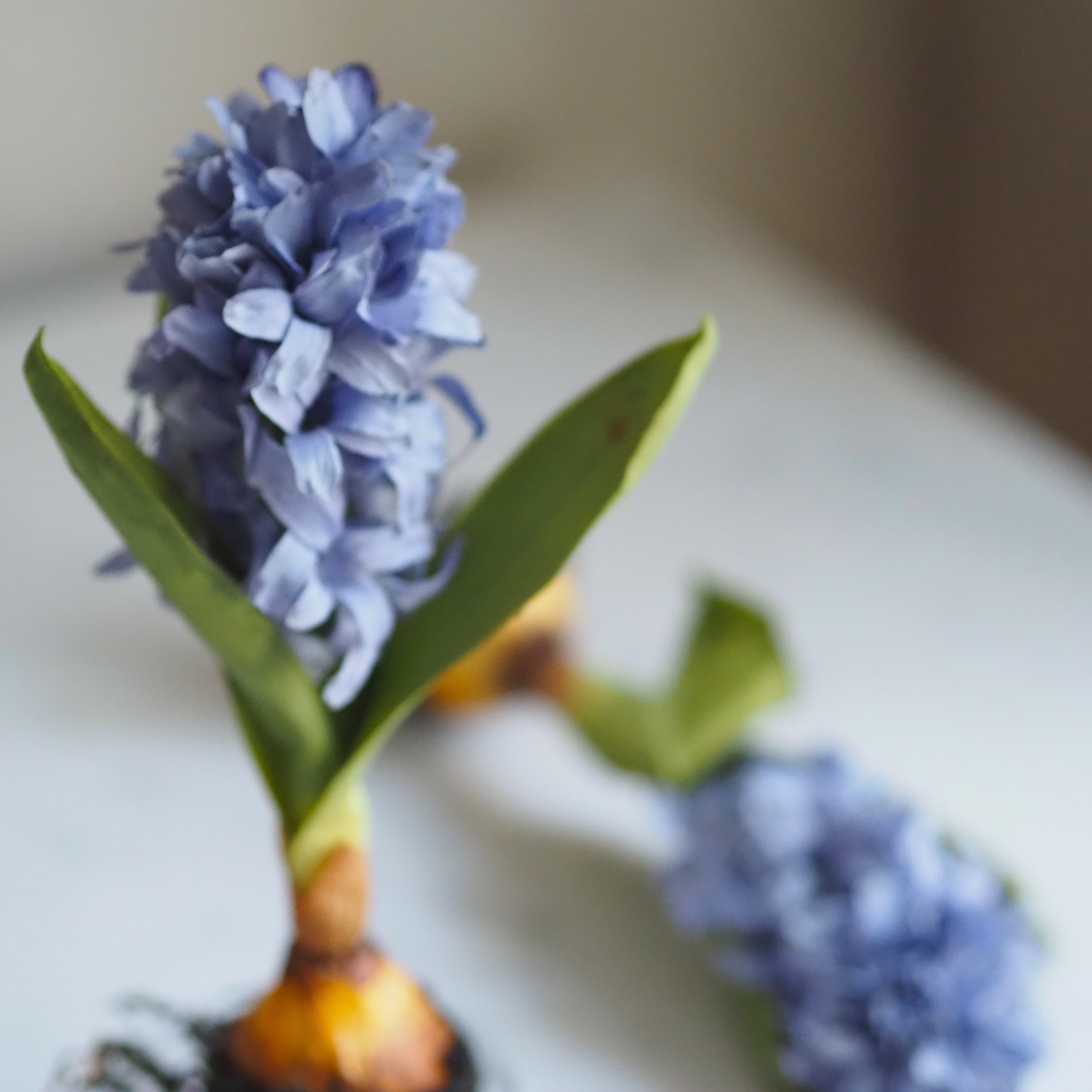 Hyazinthen mit Zwiebel · 2er Set / Frühlingsdekoration / Kunstblumen