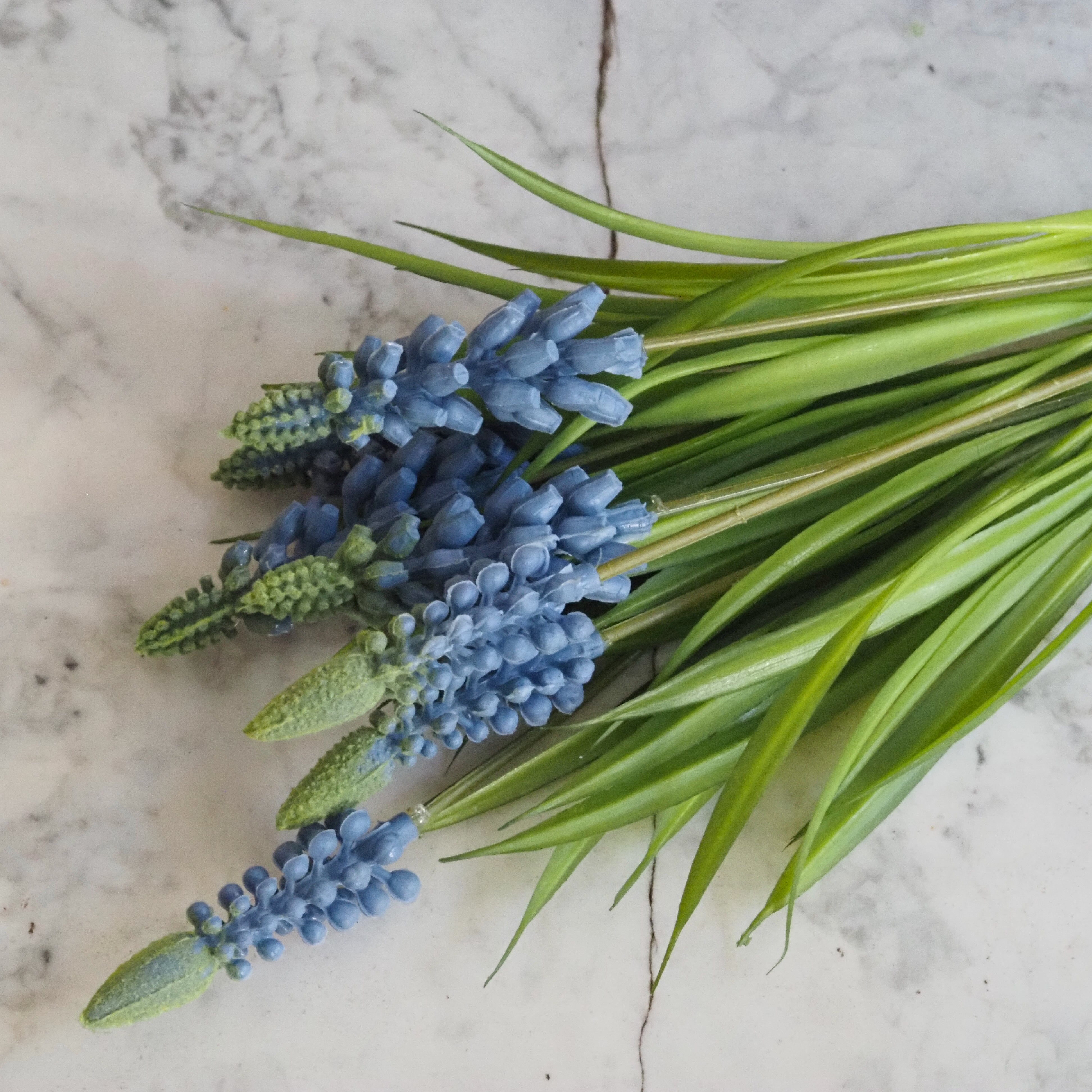 Muscari Busch · Traubenhyazinthe Dekozweig