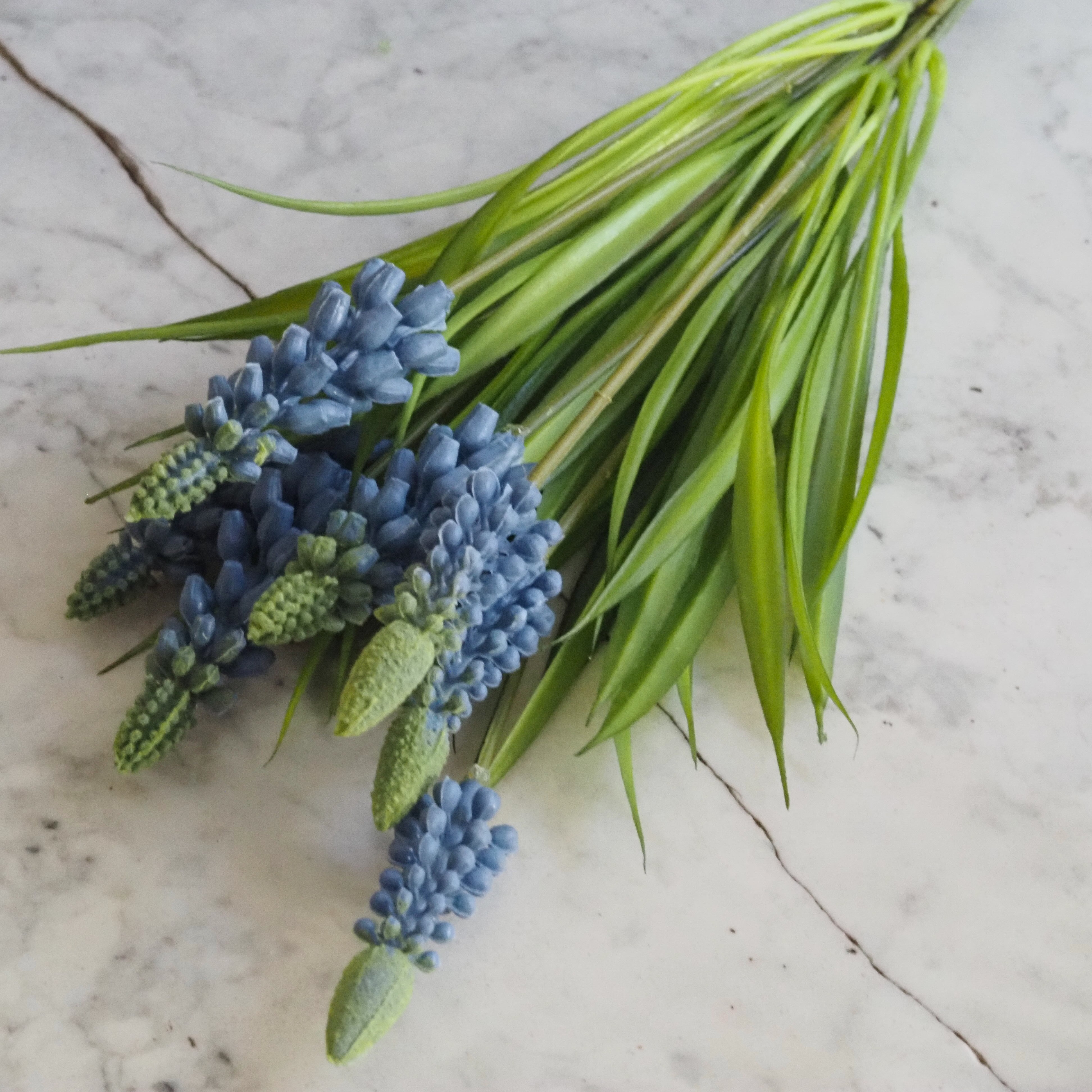 Muscari Busch · Traubenhyazinthe Dekozweig