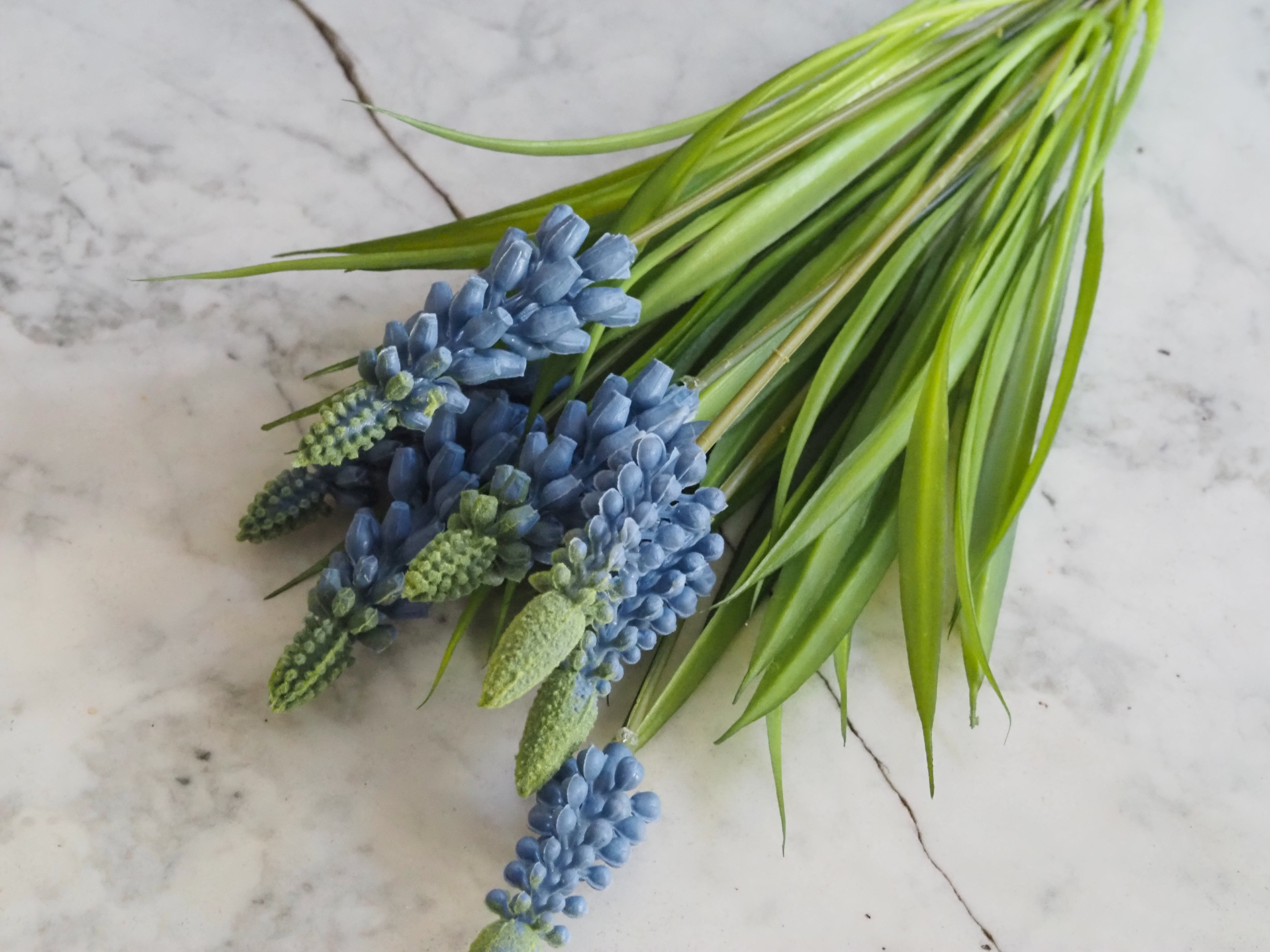 Muscari Busch · Traubenhyazinthe Dekozweig