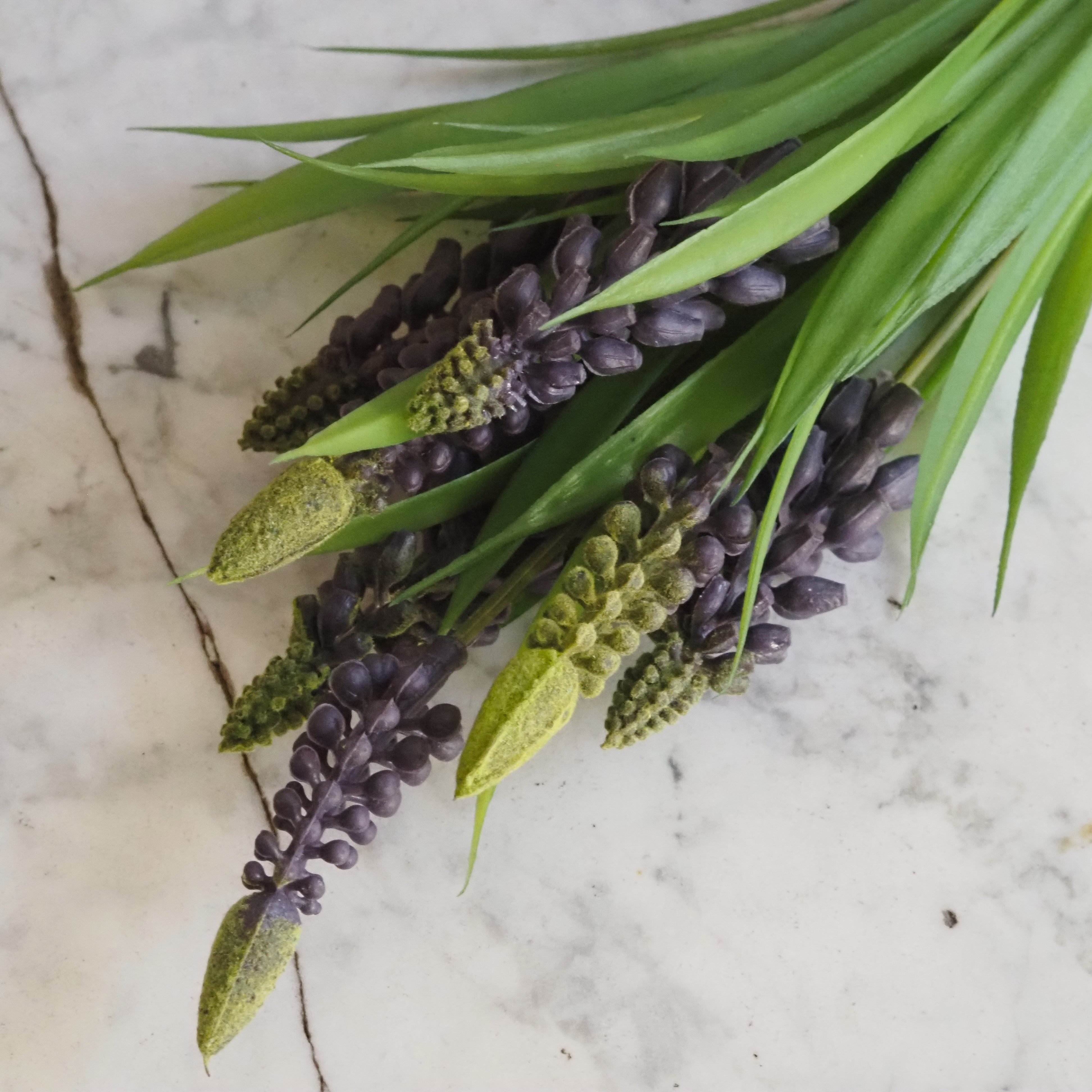 Muscari Busch · Traubenhyazinthe Dekozweig