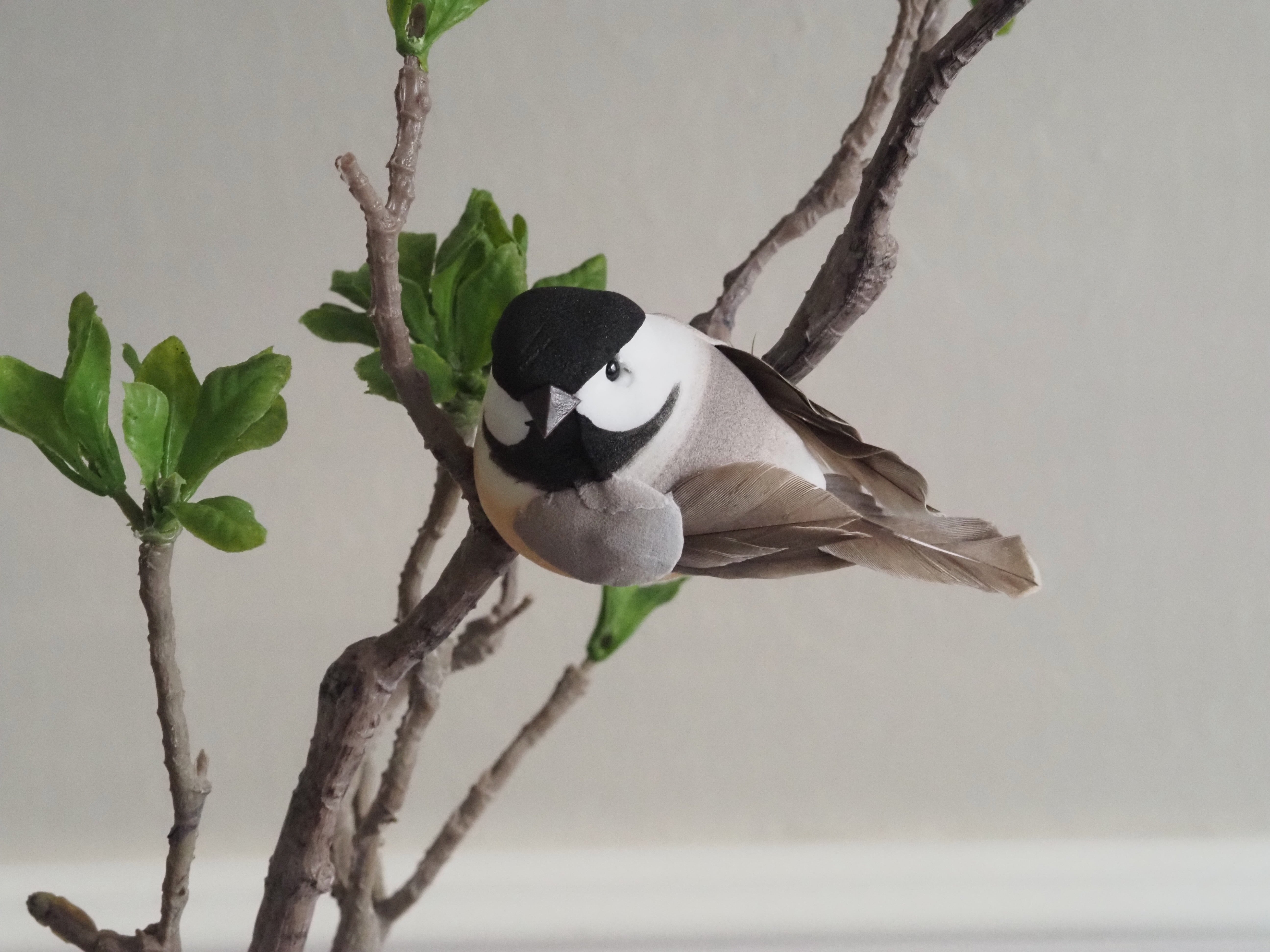 Magnolienzweig grün · botanisch inspirierter Dekorationszweig, Frühlingsdeko
