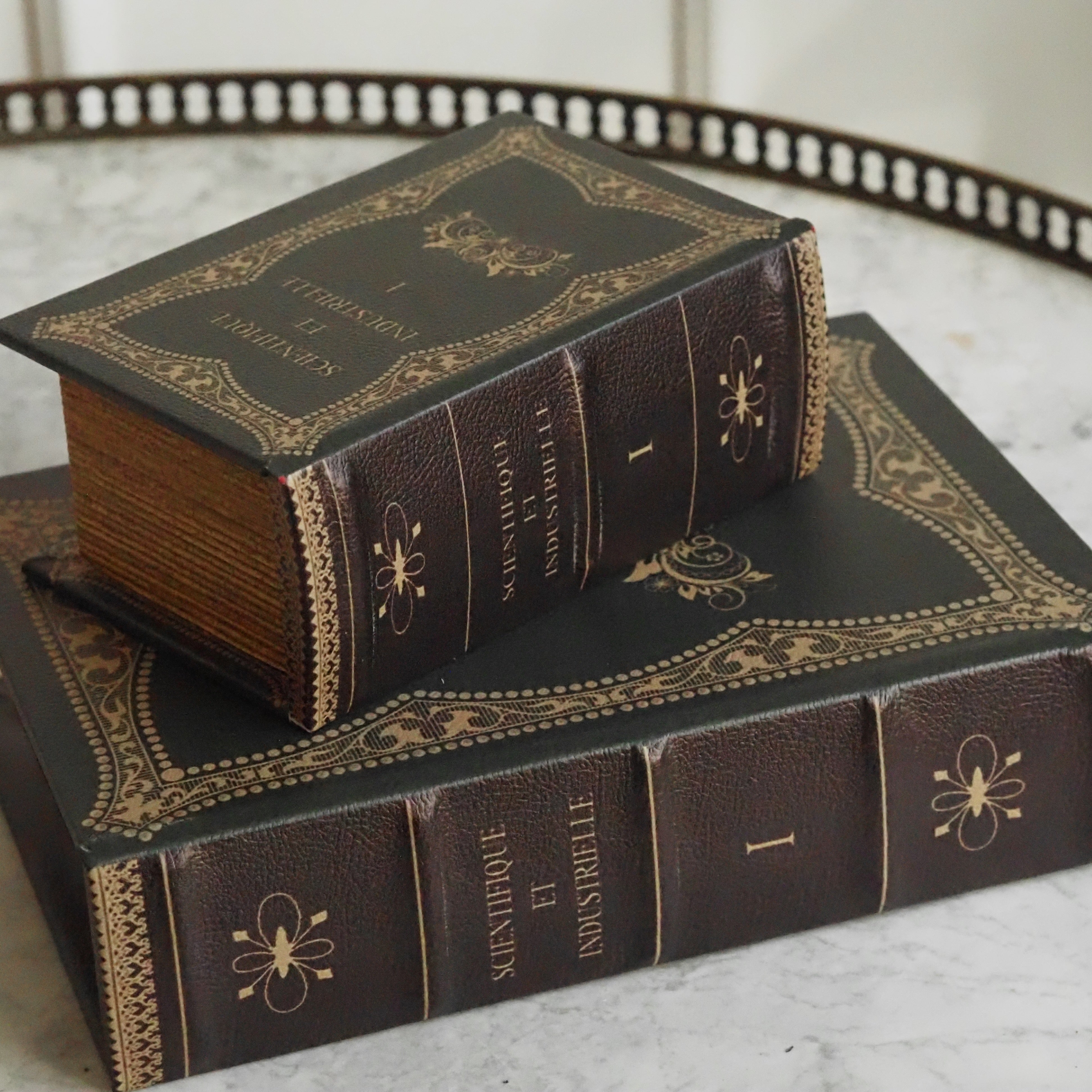 Aufbewahrungsbox in Buchform · Lederoptik mit klassischer Einbandprägung „Scientifique et Industrielle"