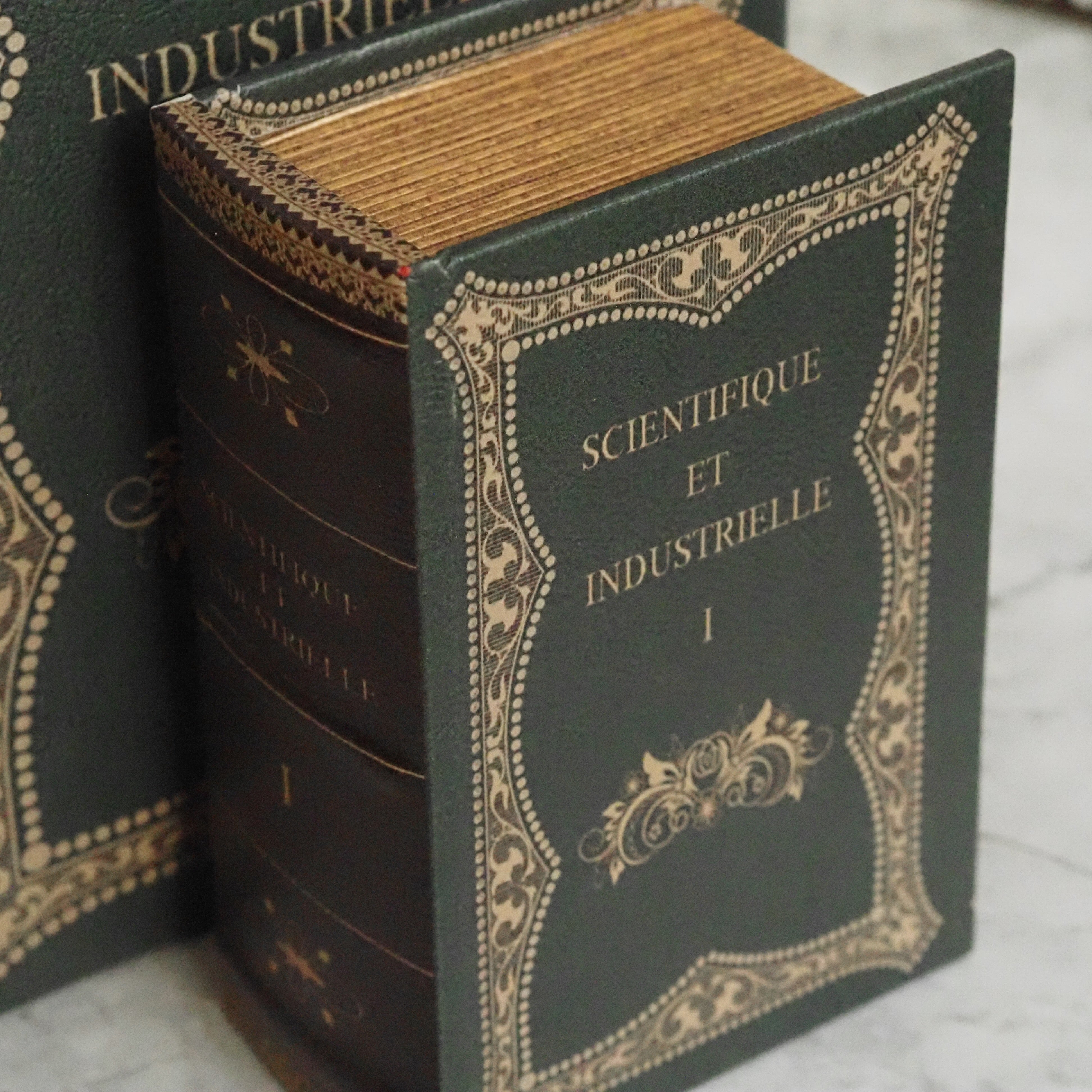 Aufbewahrungsbox in Buchform · Lederoptik mit klassischer Einbandprägung „Scientifique et Industrielle"