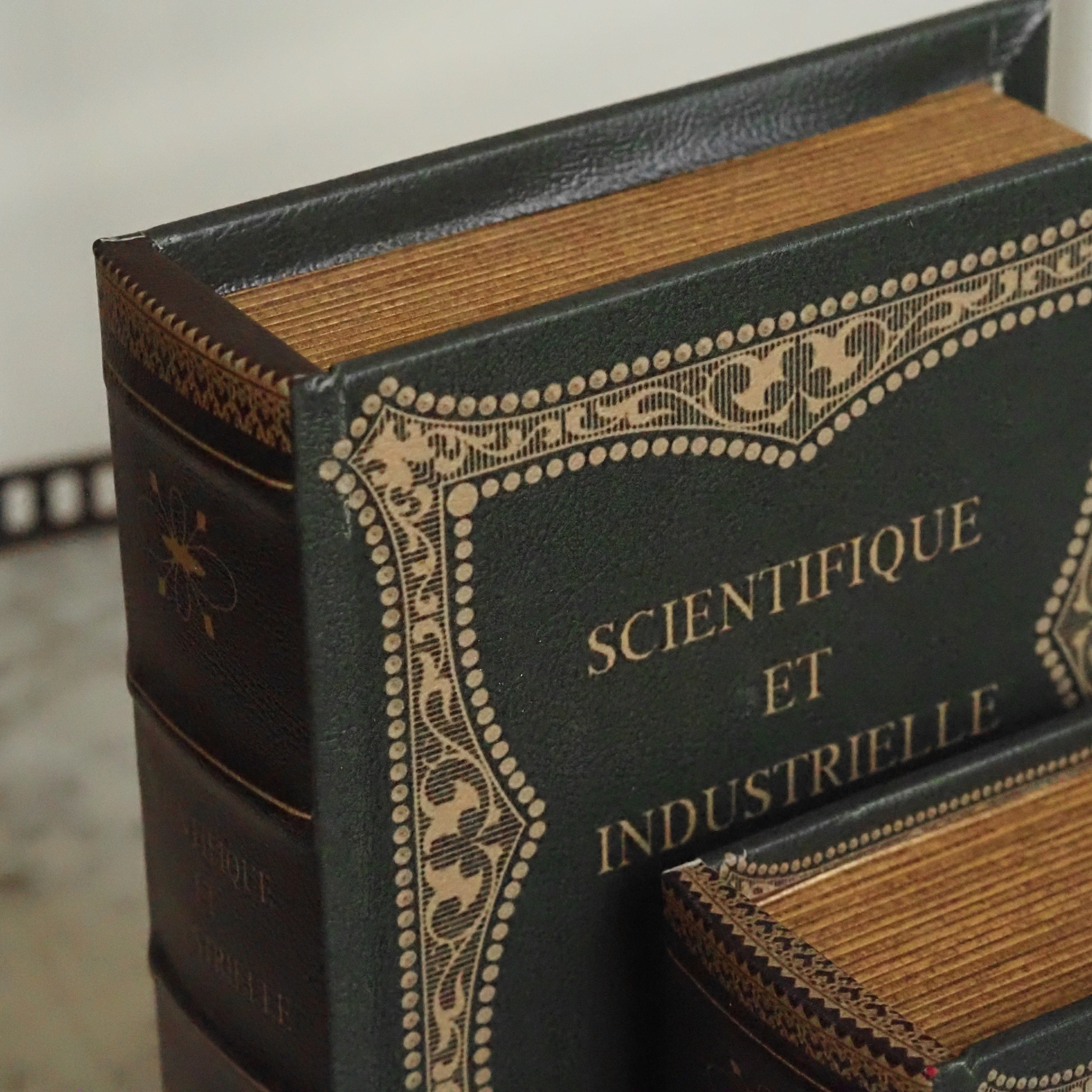 Aufbewahrungsbox in Buchform · Lederoptik mit klassischer Einbandprägung „Scientifique et Industrielle"