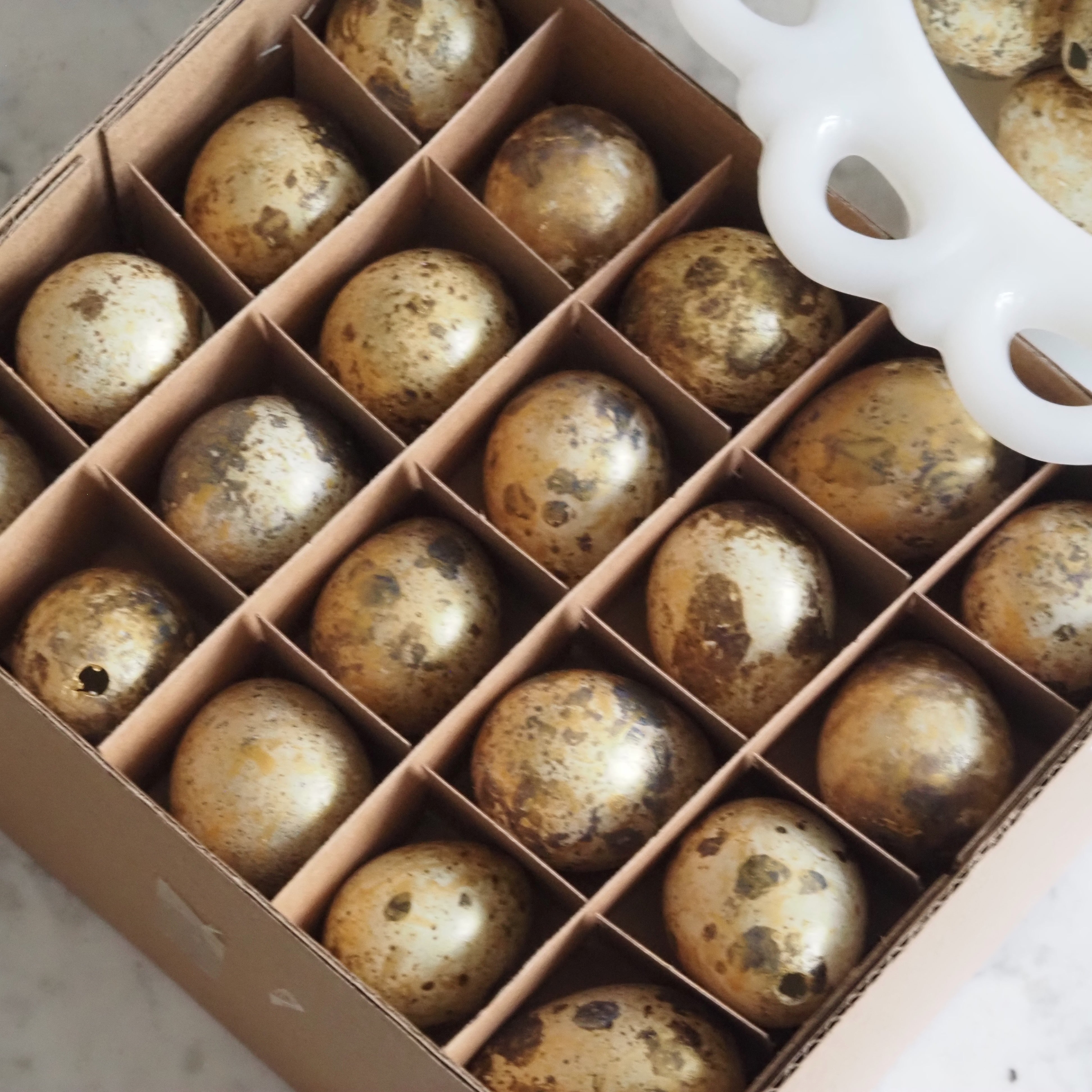 Wachteleier Dekoration · Creme/Braun oder Gold · Set 60