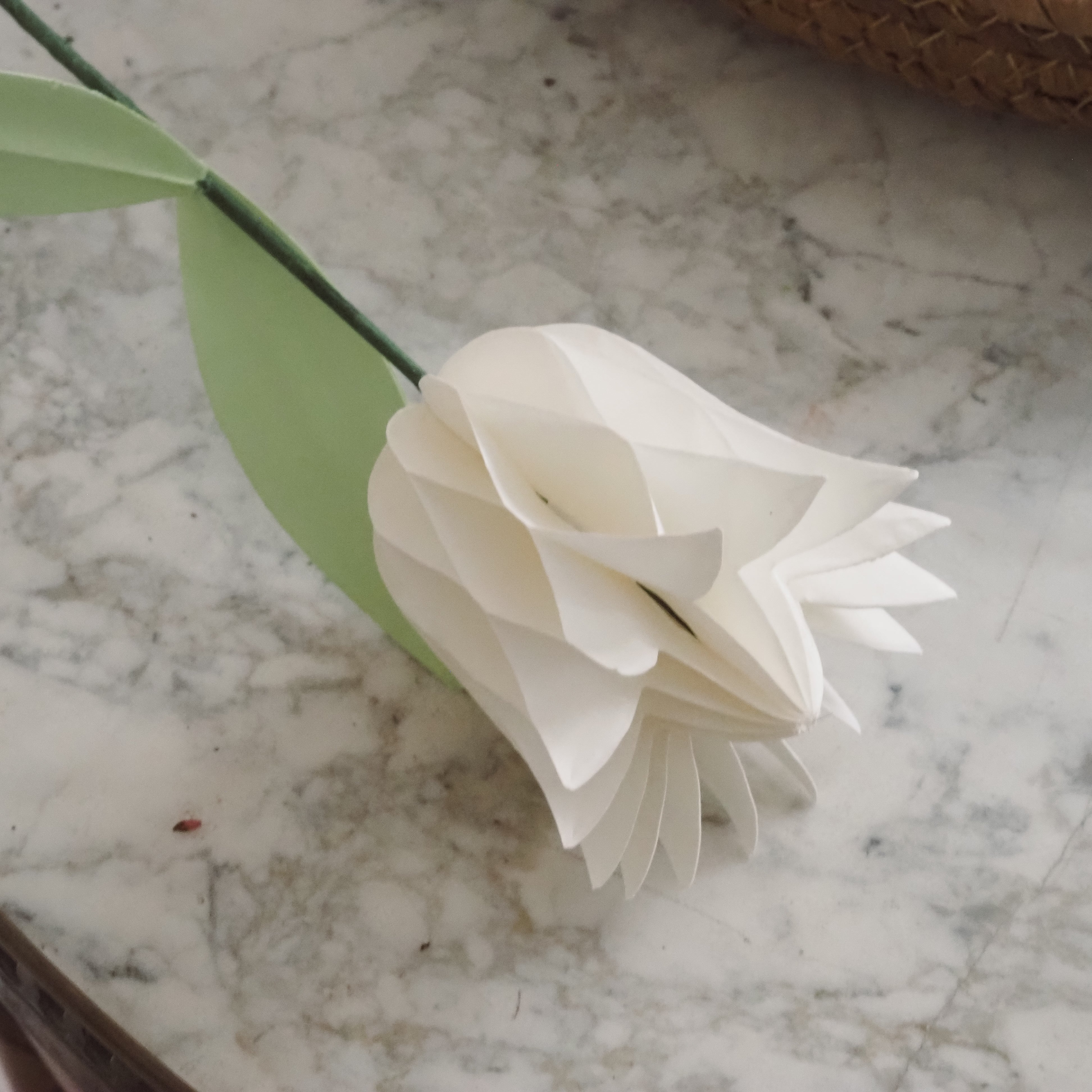 Papiertulpe in Weiß · Faltblüte mit Magnetverschluss / Frühlingsdeko
