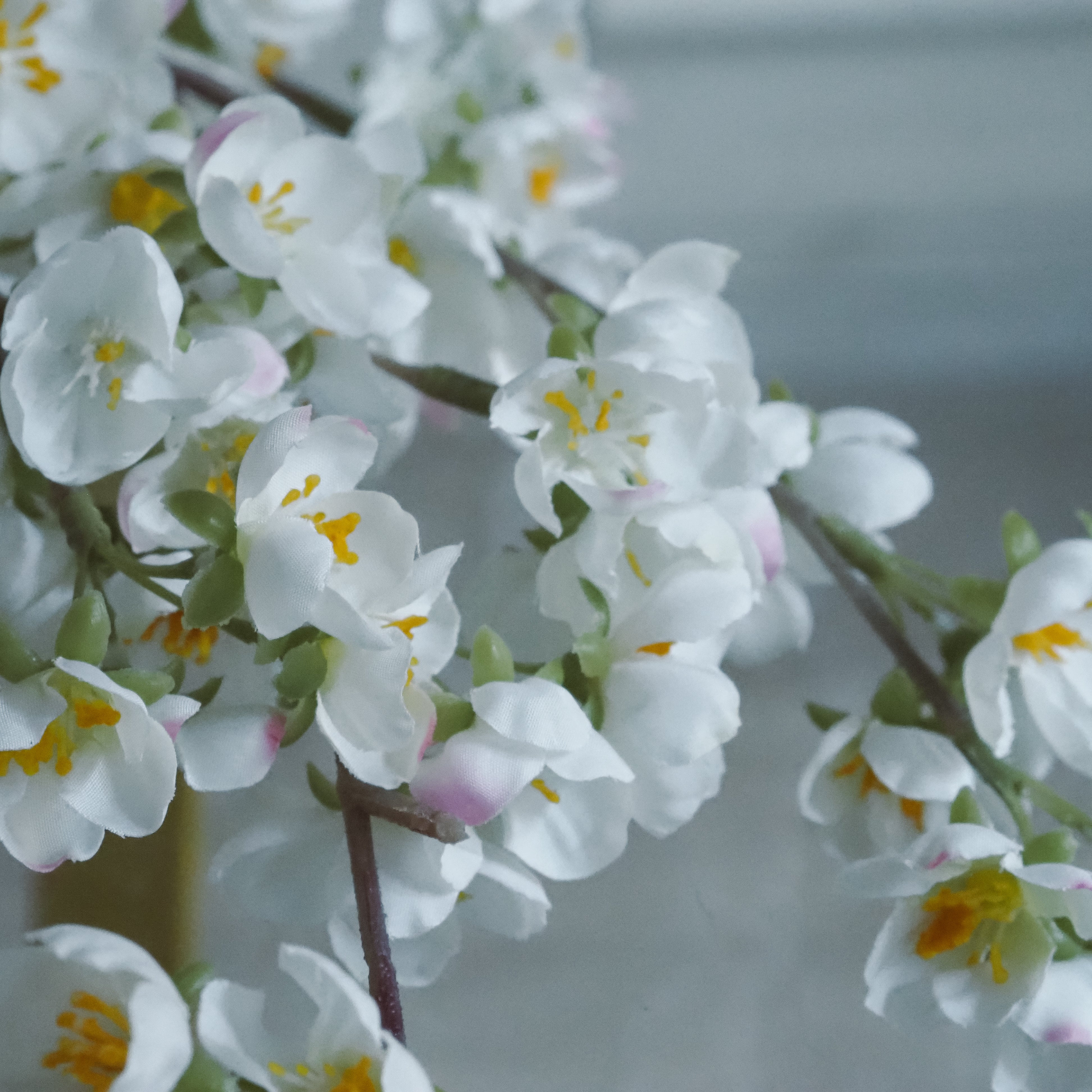 Blütenzweig · Kirschblüten-Interpretation / florales Dekorobjekt
