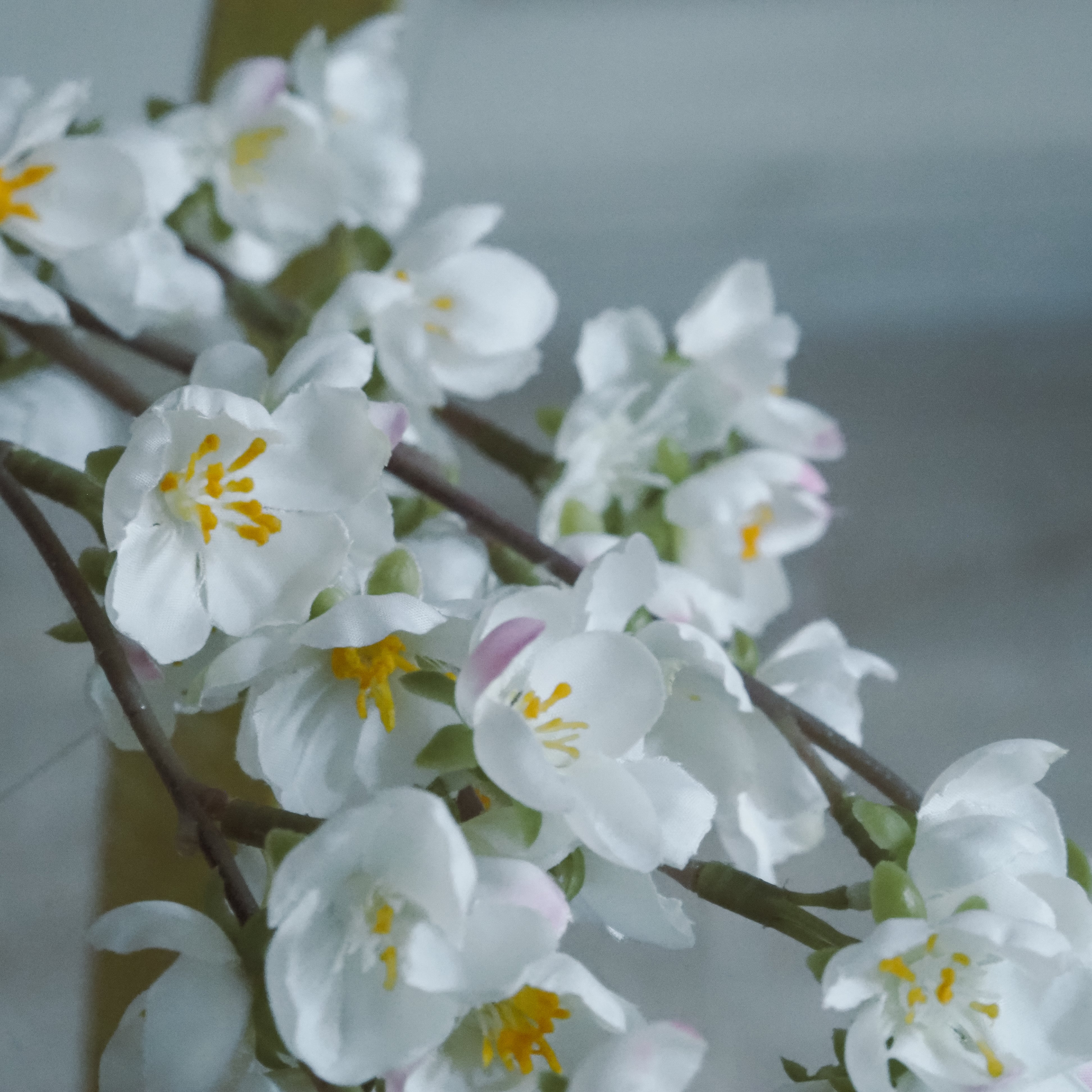 Blütenzweig · Kirschblüten-Interpretation / florales Dekorobjekt