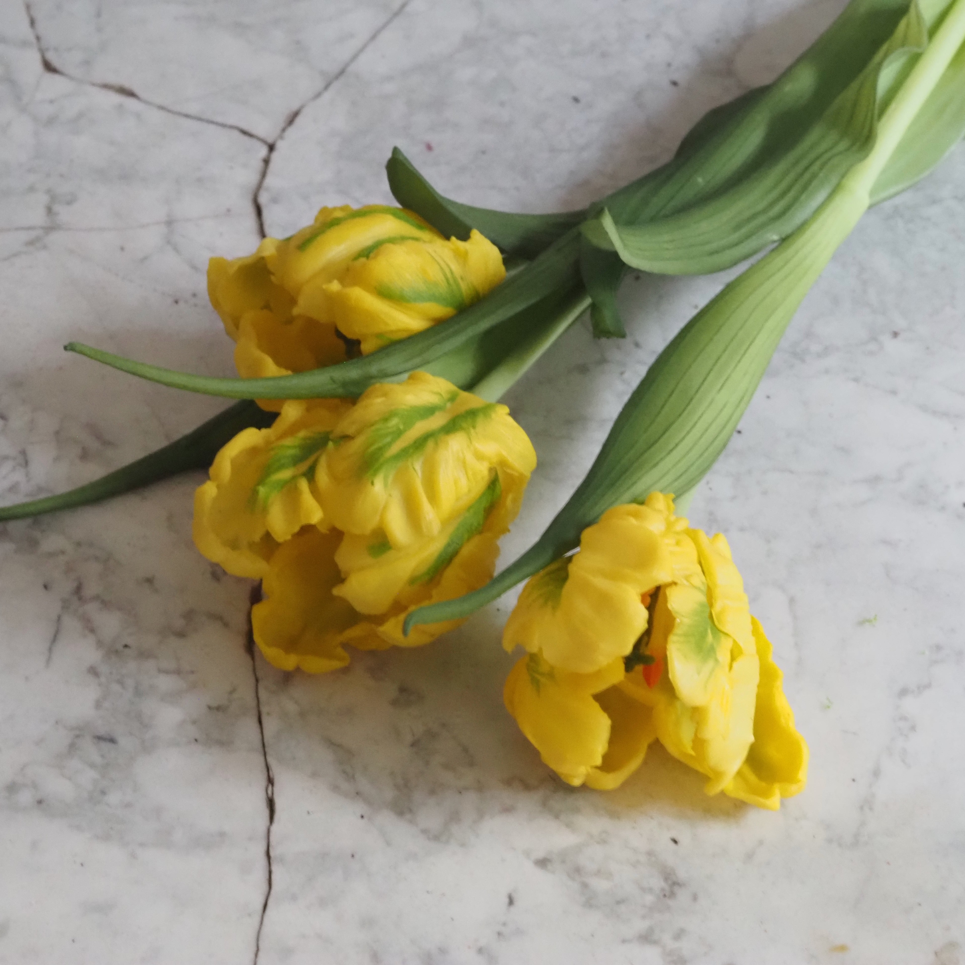 Papagei-Tulpenbund · künstlicher Tulpenzweig