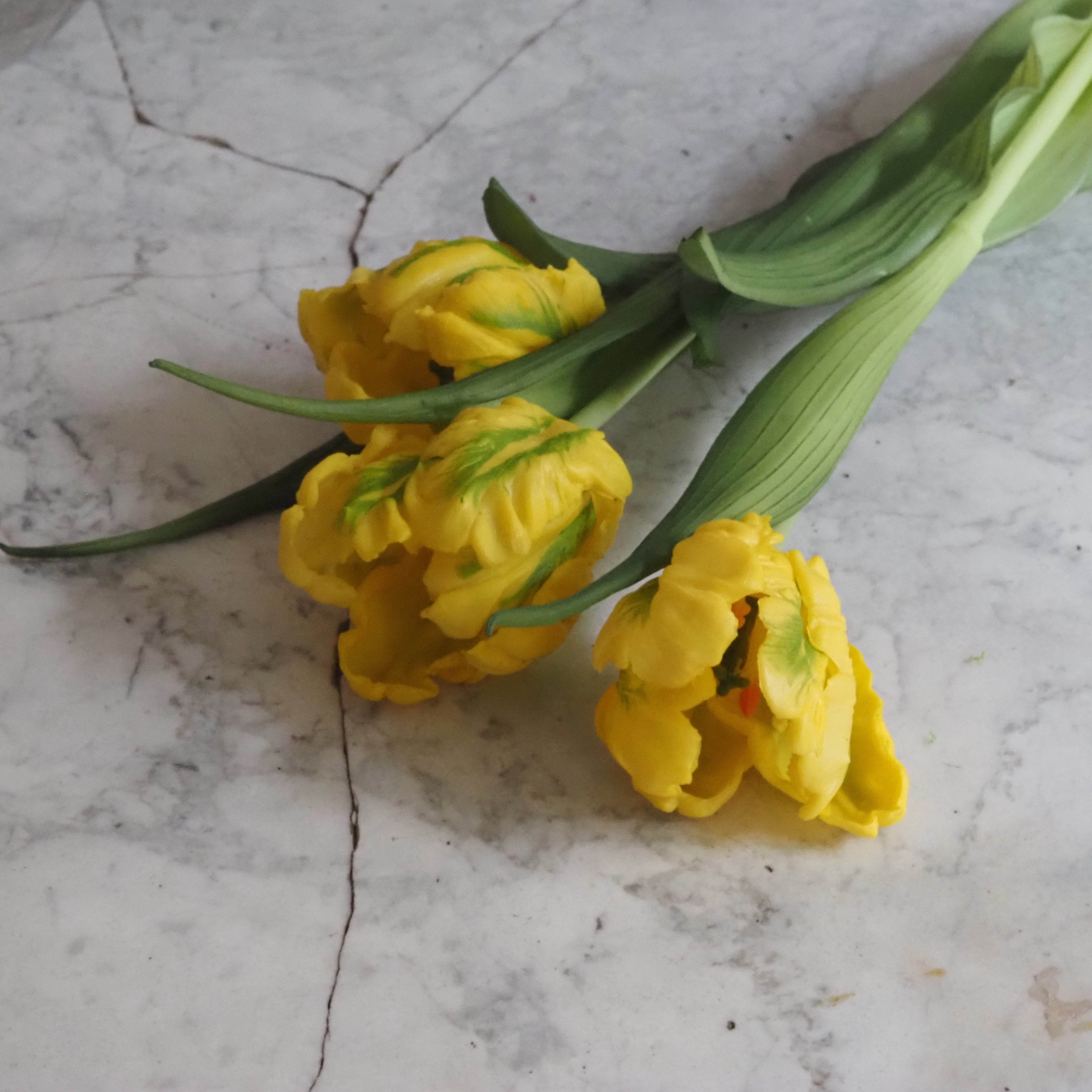 Papagei-Tulpenbund · künstlicher Tulpenzweig