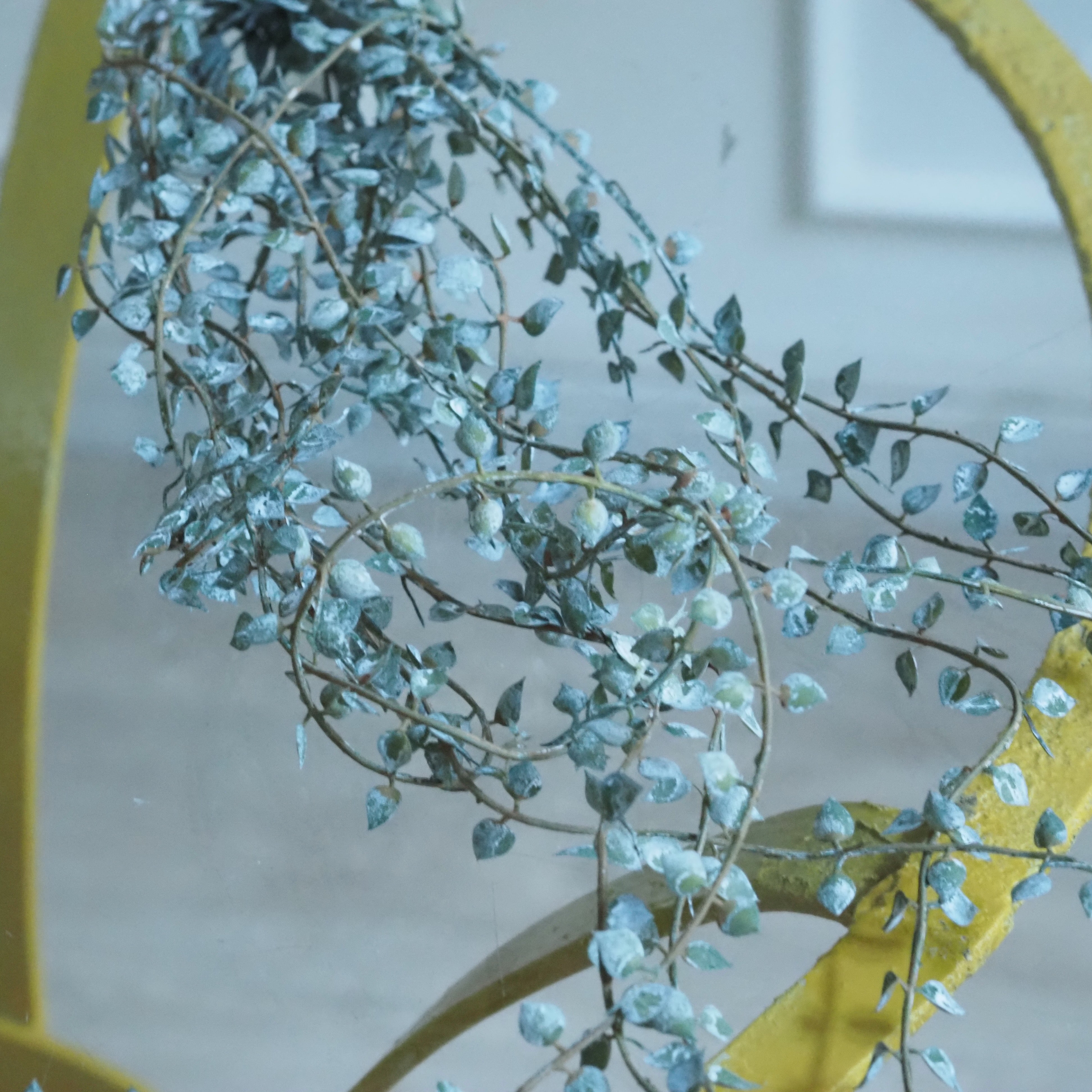 Blatthänger · kleinblättrige Ranke / florales Dekorelement