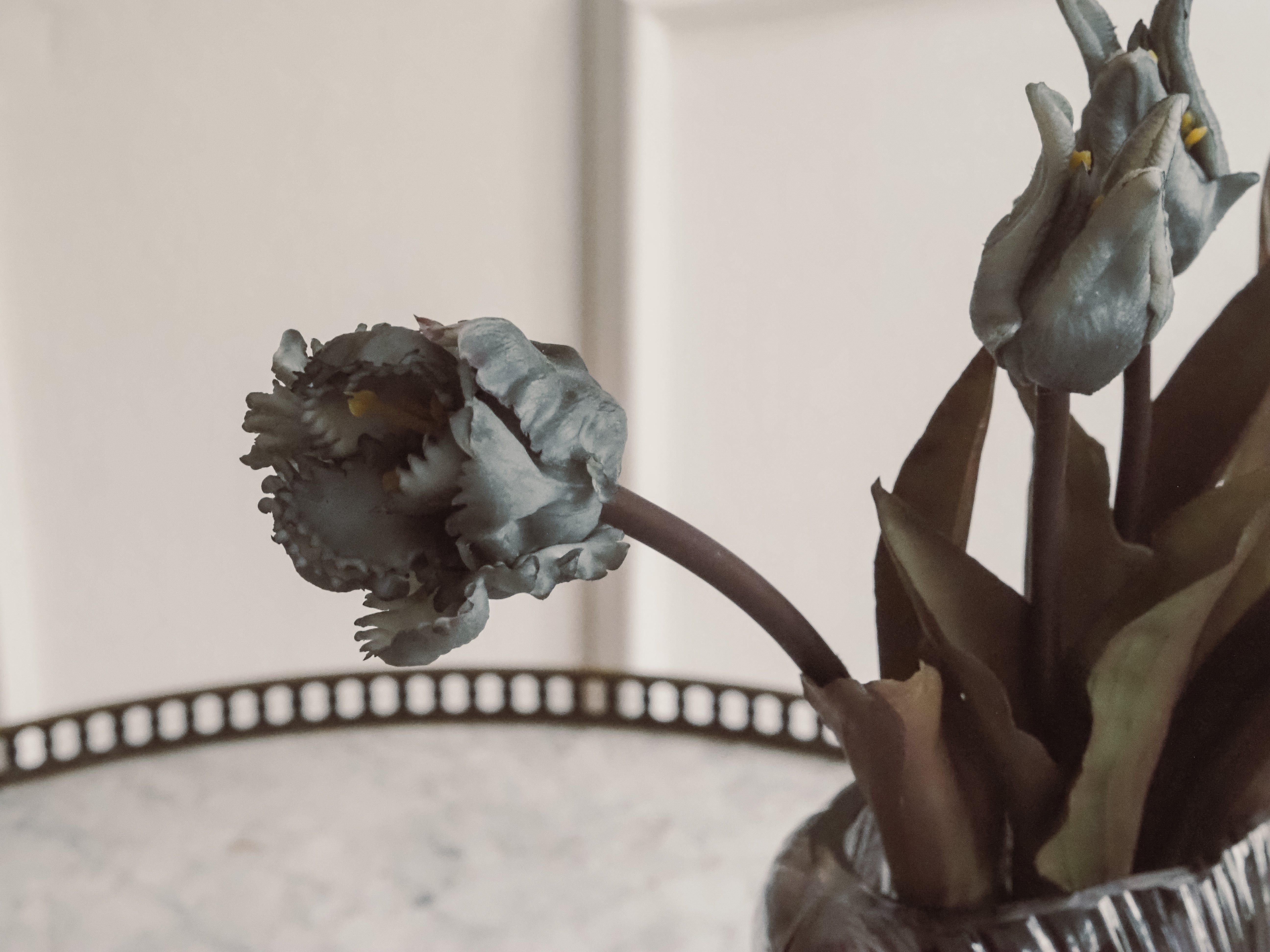 Tulpenbündel · Papageientulpe in Grau, Kunstblumen Tulpe
