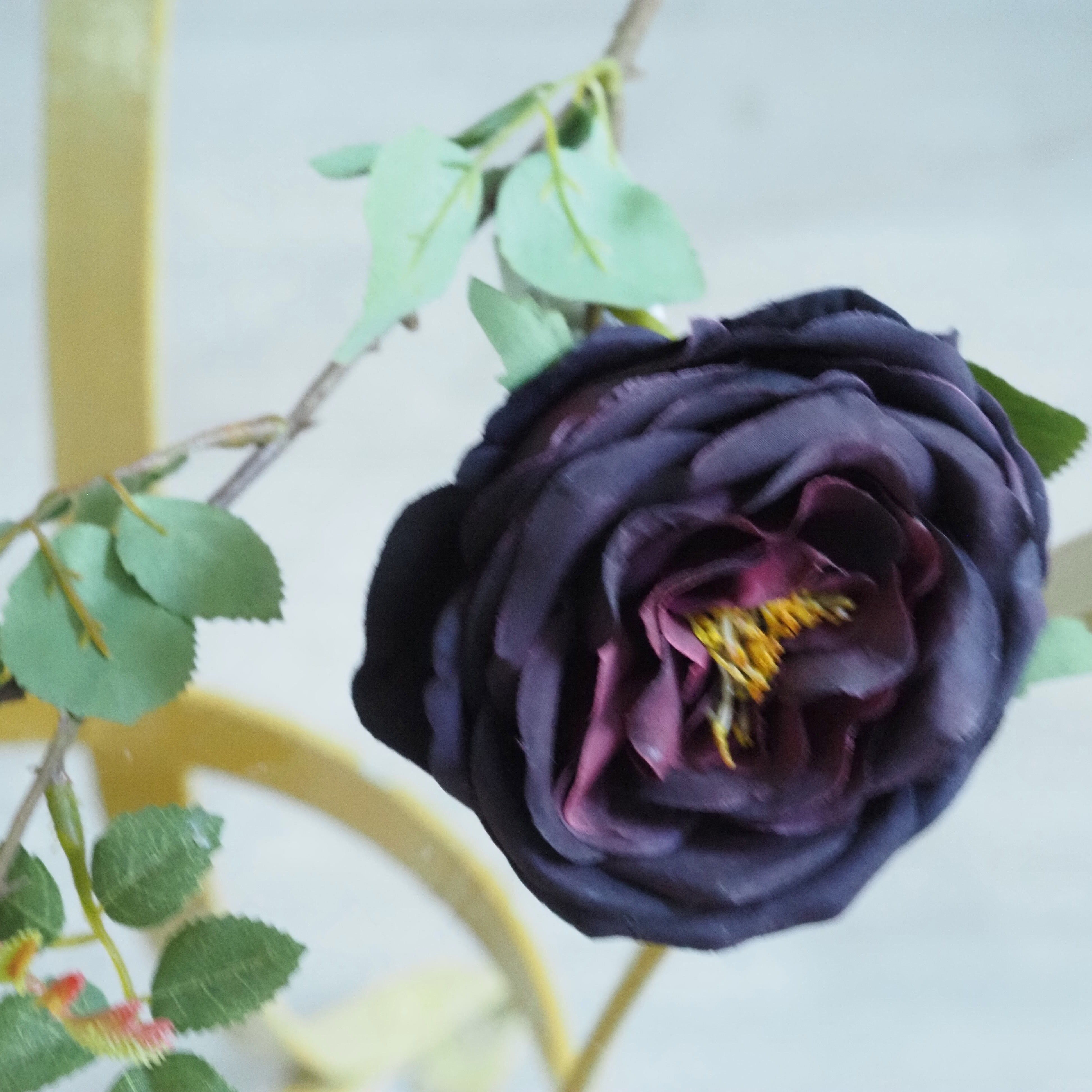 Rosenzweig · dunkle Blüte in historisierender Anmutung