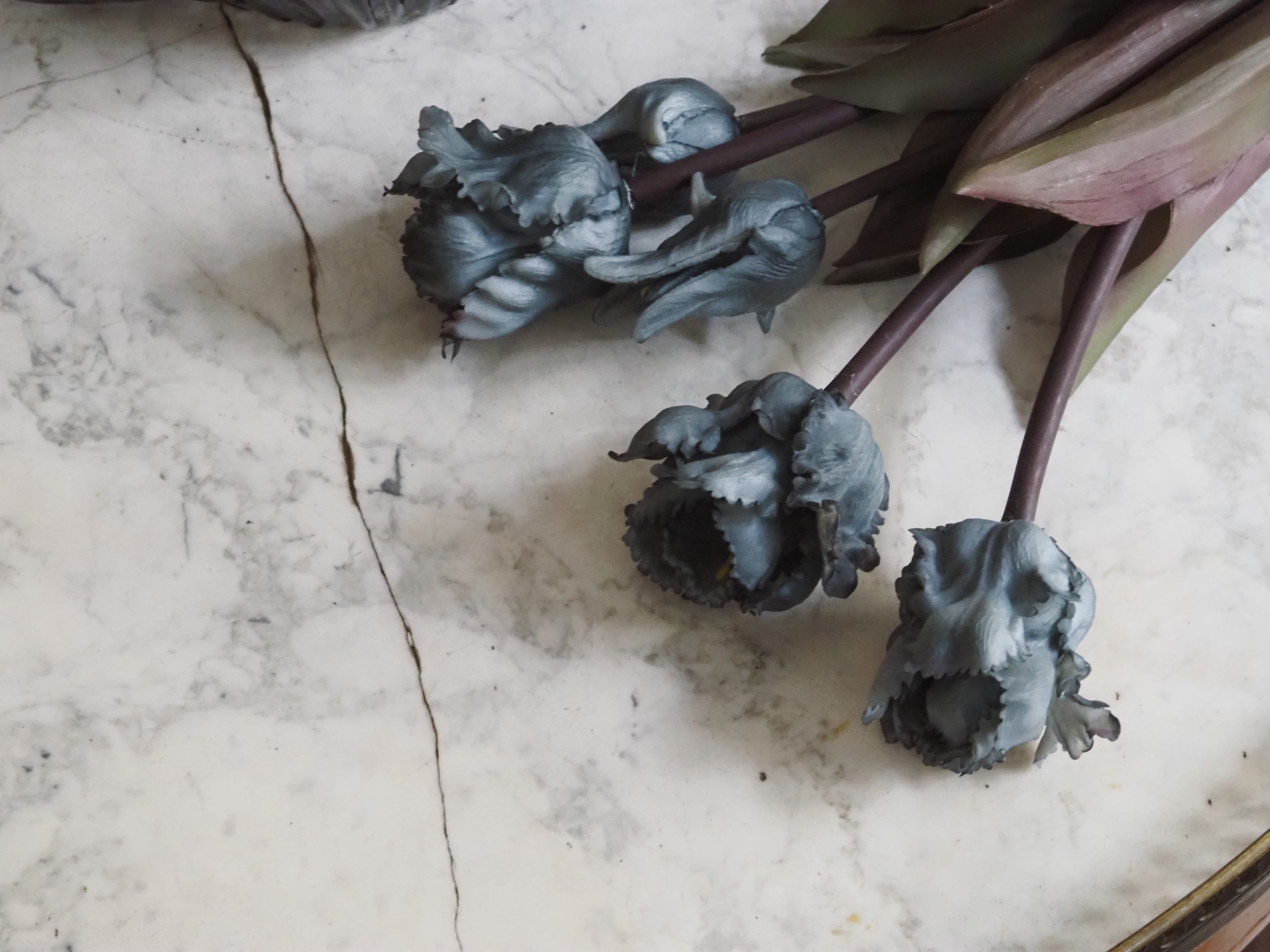 Tulpenbündel · Papageientulpe in Grau, Kunstblumen Tulpe